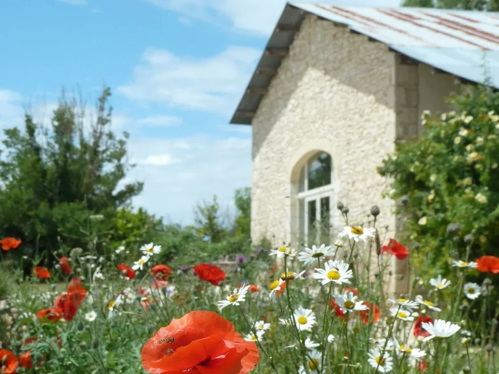 chateau puissentut barn and flowers around it hosting women's menopause and perimenopause retreats