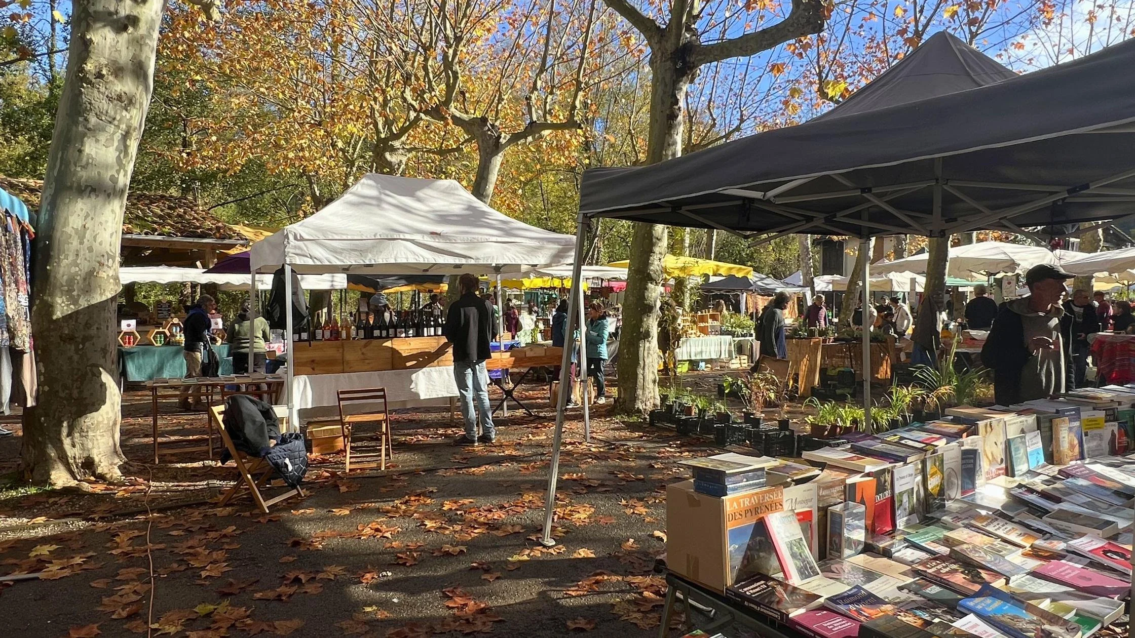 French outdoor market with multiple vendors.