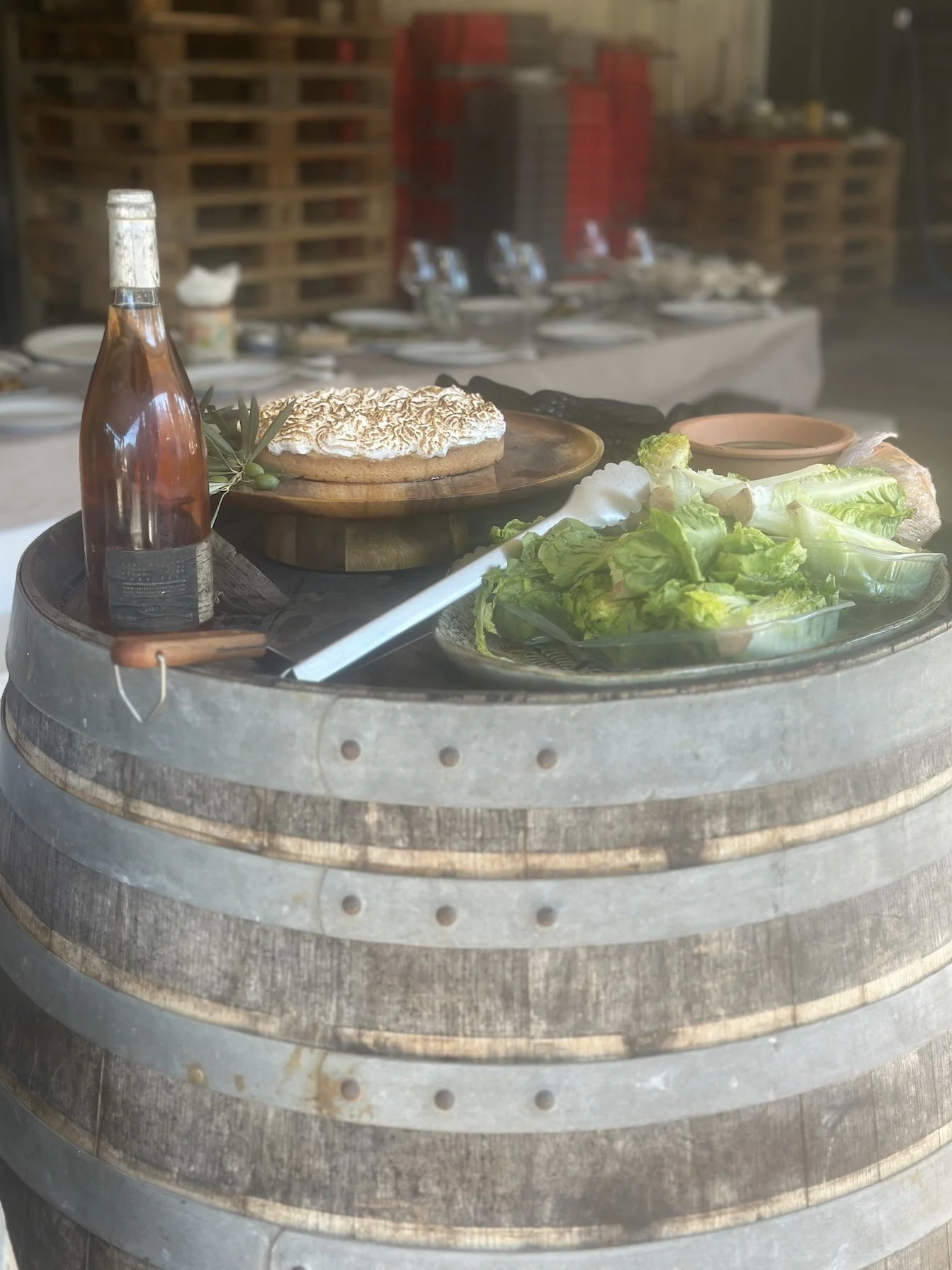 Wine Tasting Tour with Meals For English Speakers