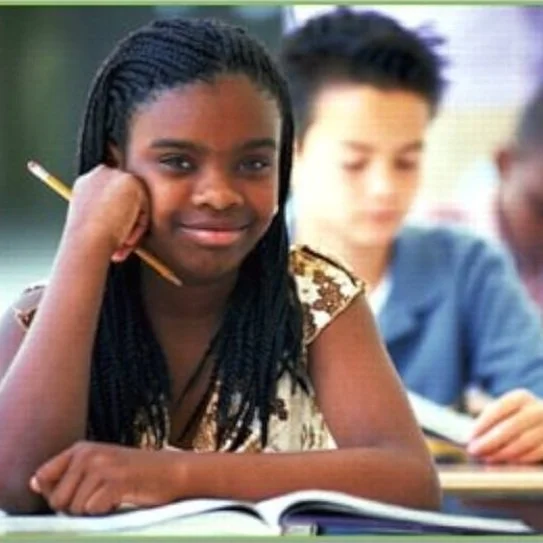 Components of Adolescent Literacy