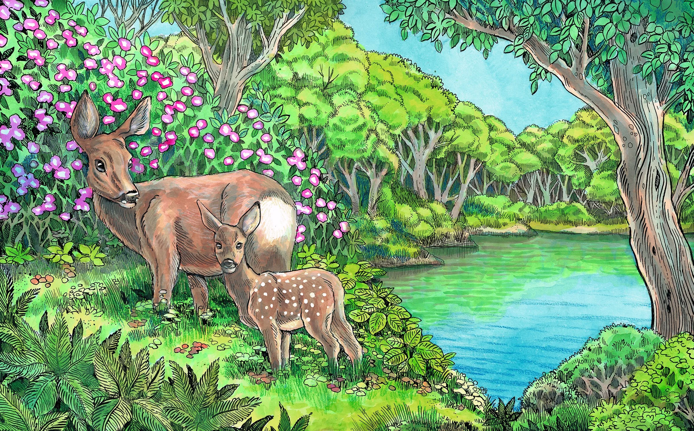 Mother Deer