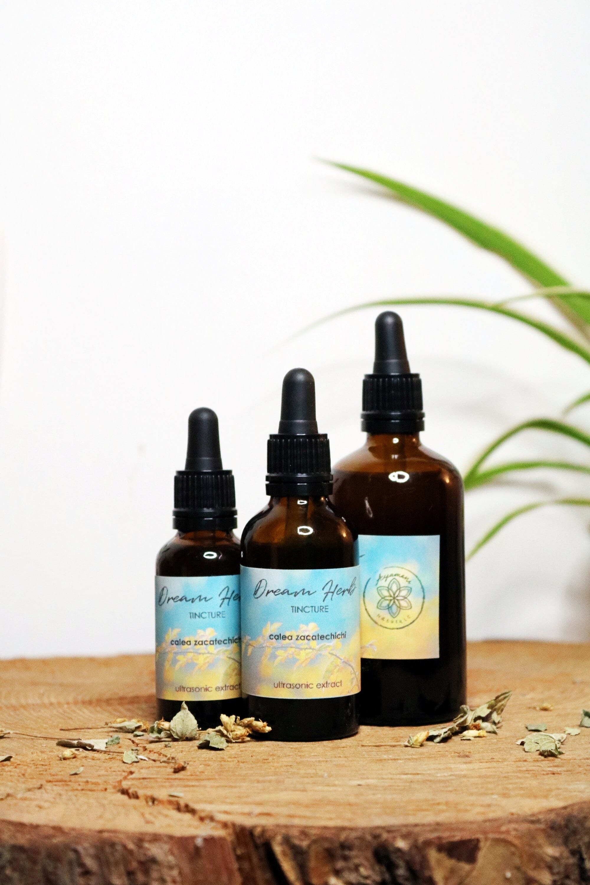 https://i.etsystatic.com/19515120/r/il/85f2b3/5529552845/il_fullxfull.5529552845_tcb2.jpg