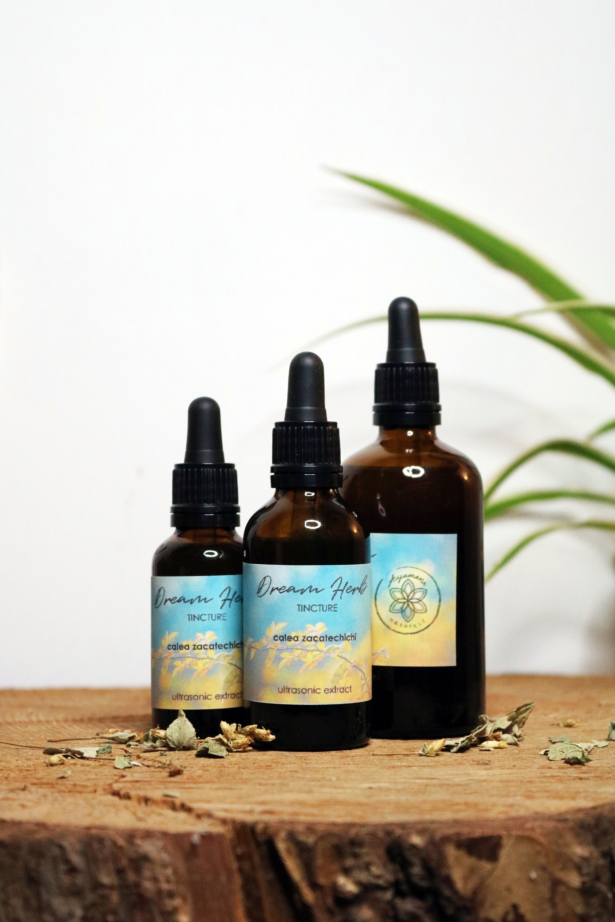 https://i.etsystatic.com/19515120/r/il/bf03b6/5481430480/il_fullxfull.5481430480_r91n.jpg