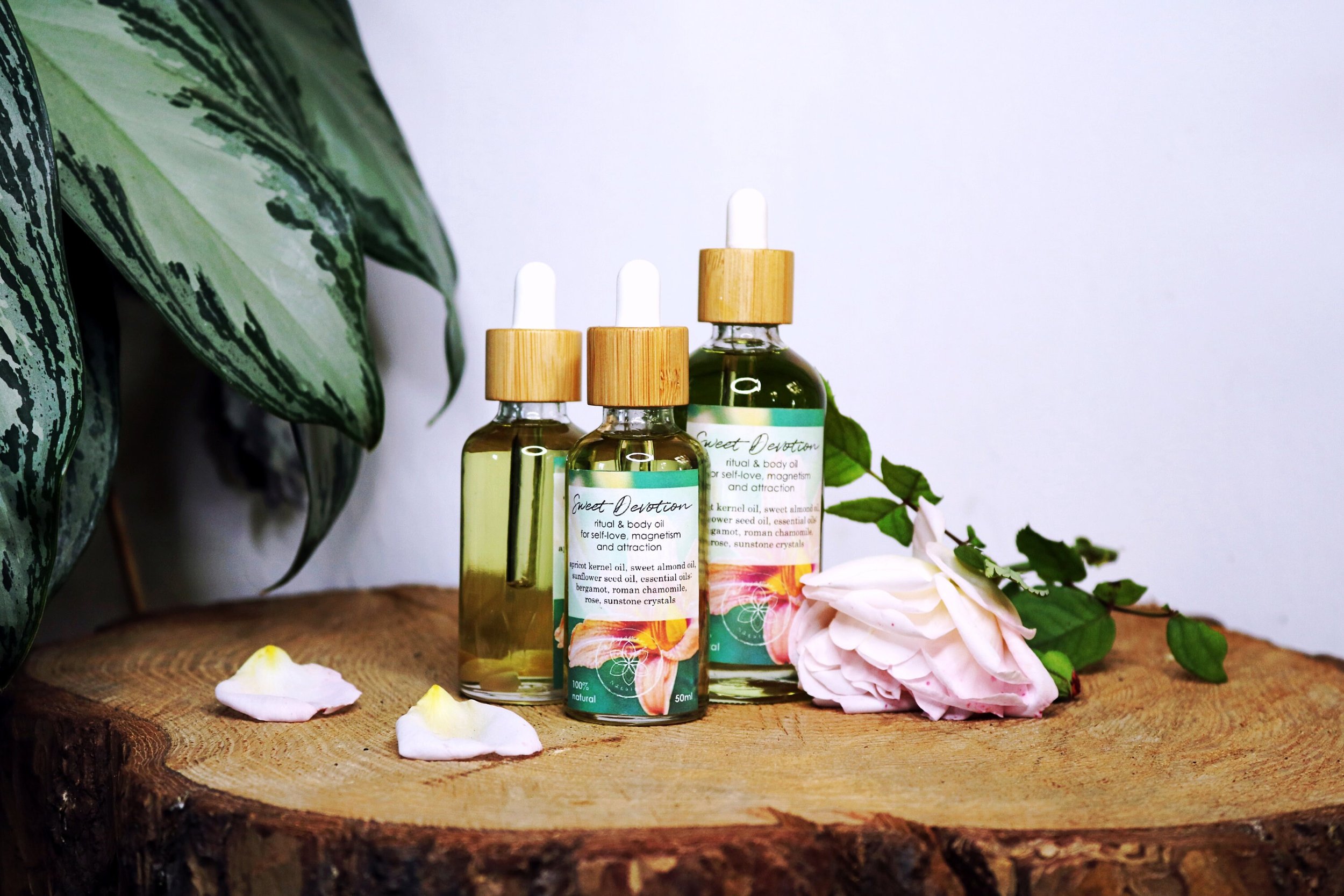 https://i.etsystatic.com/19515120/r/il/75b0ef/5981979679/il_fullxfull.5981979679_dw4t.jpg