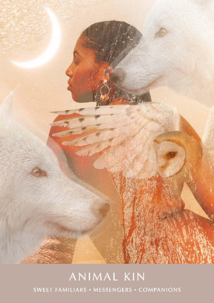 Screenshot 2026-04-25 202516.png