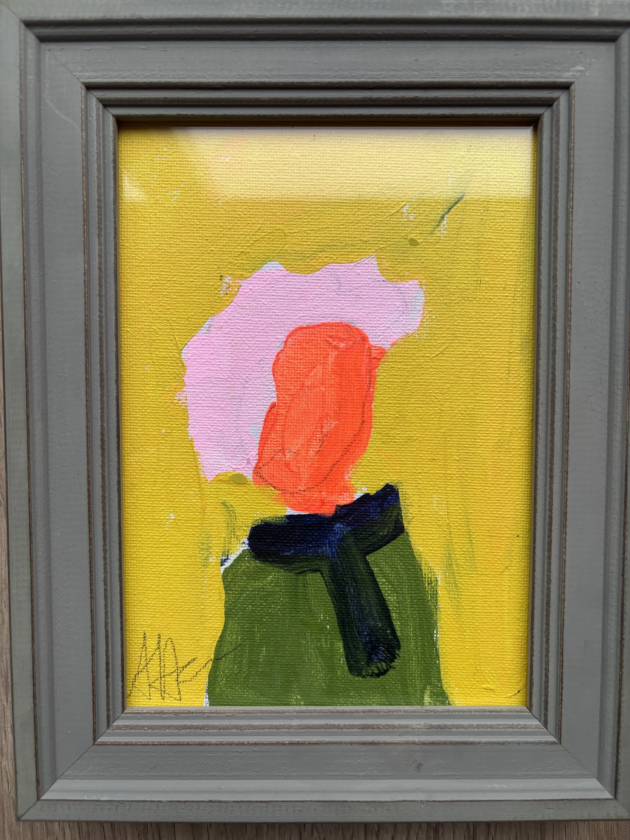 pink rinse granny .jpg