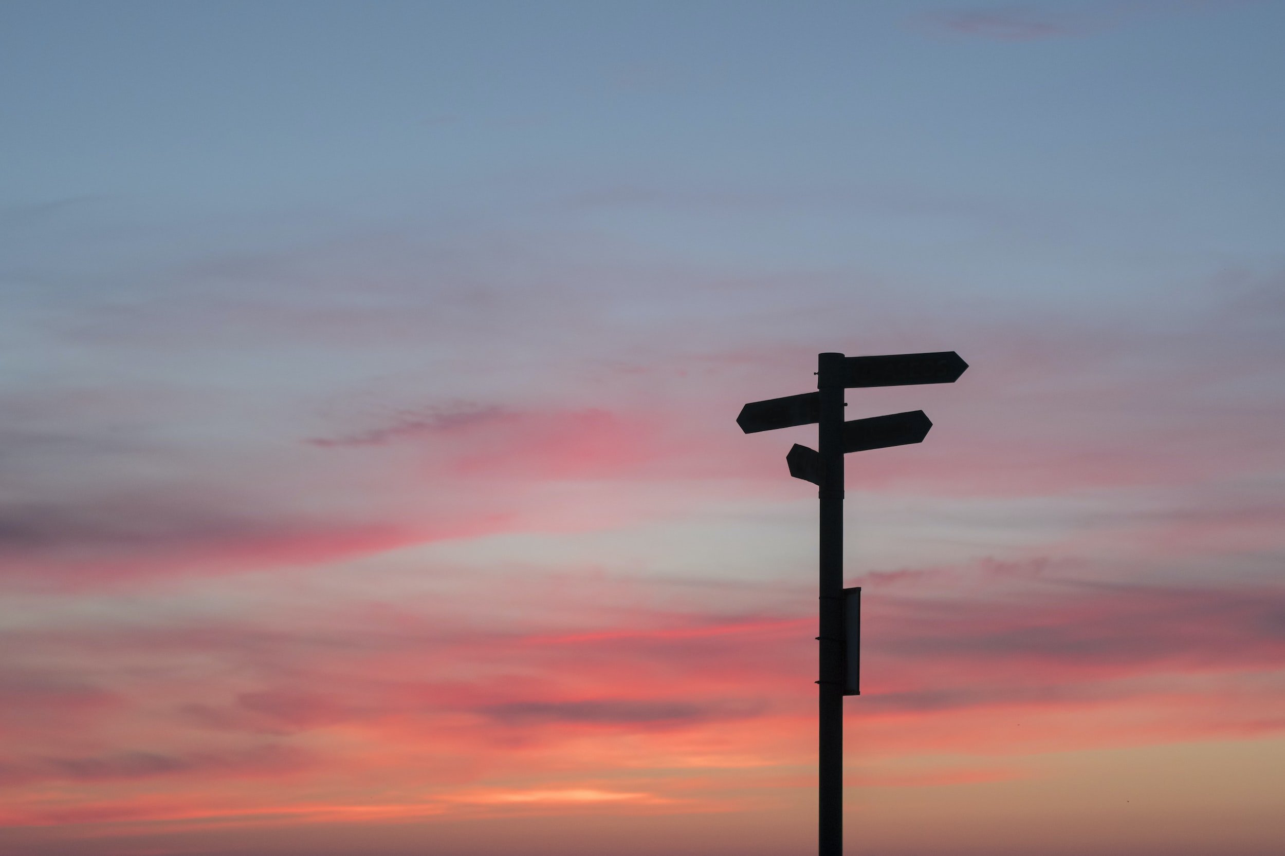 I lost my job. Now what?
