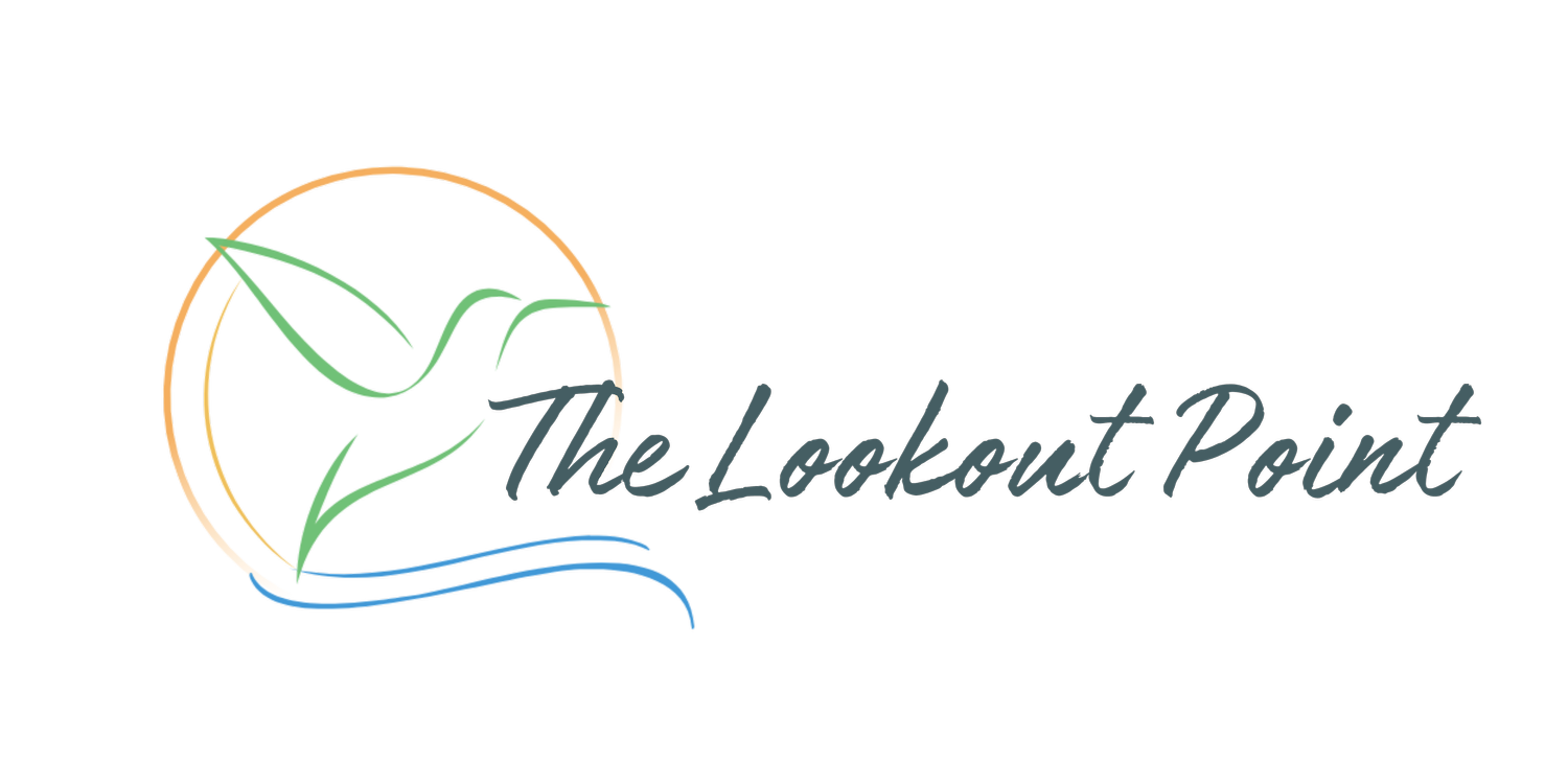 The Lookout Point, LLC