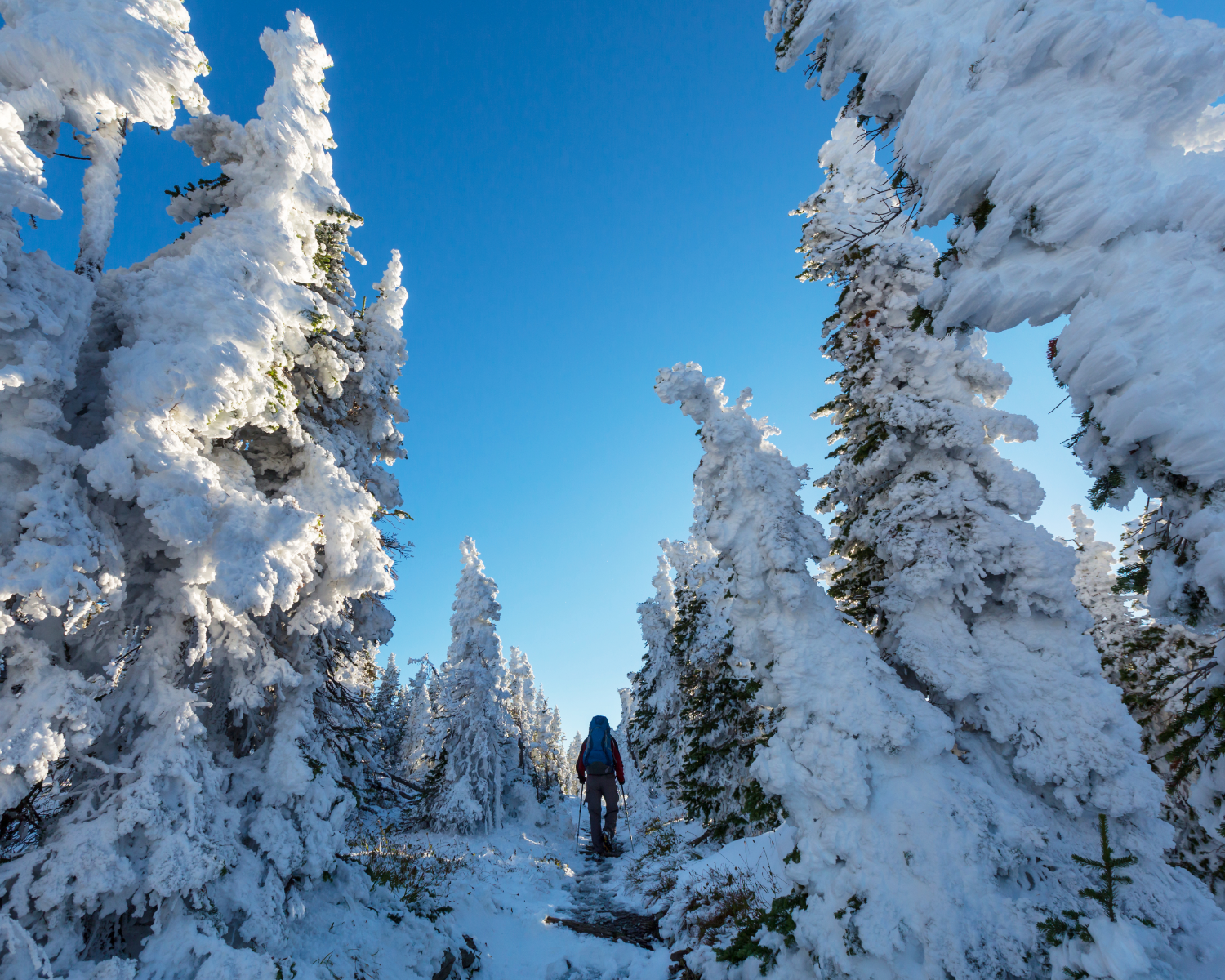 Les bienfaits de la randonnée hivernale pour la santé