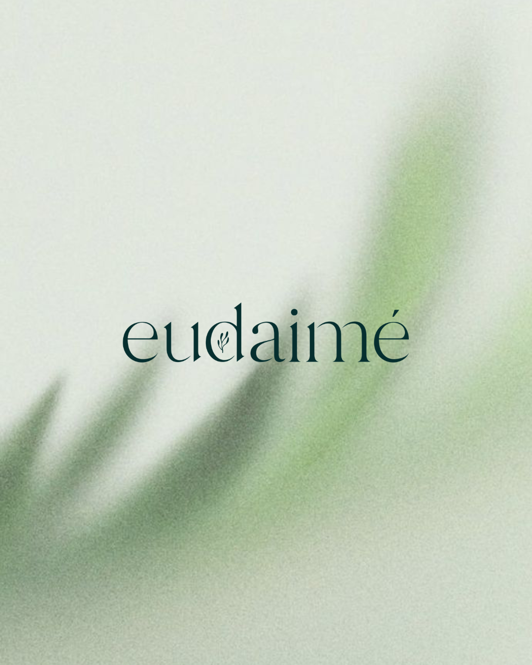 Eudaime Weight &amp; Wellness