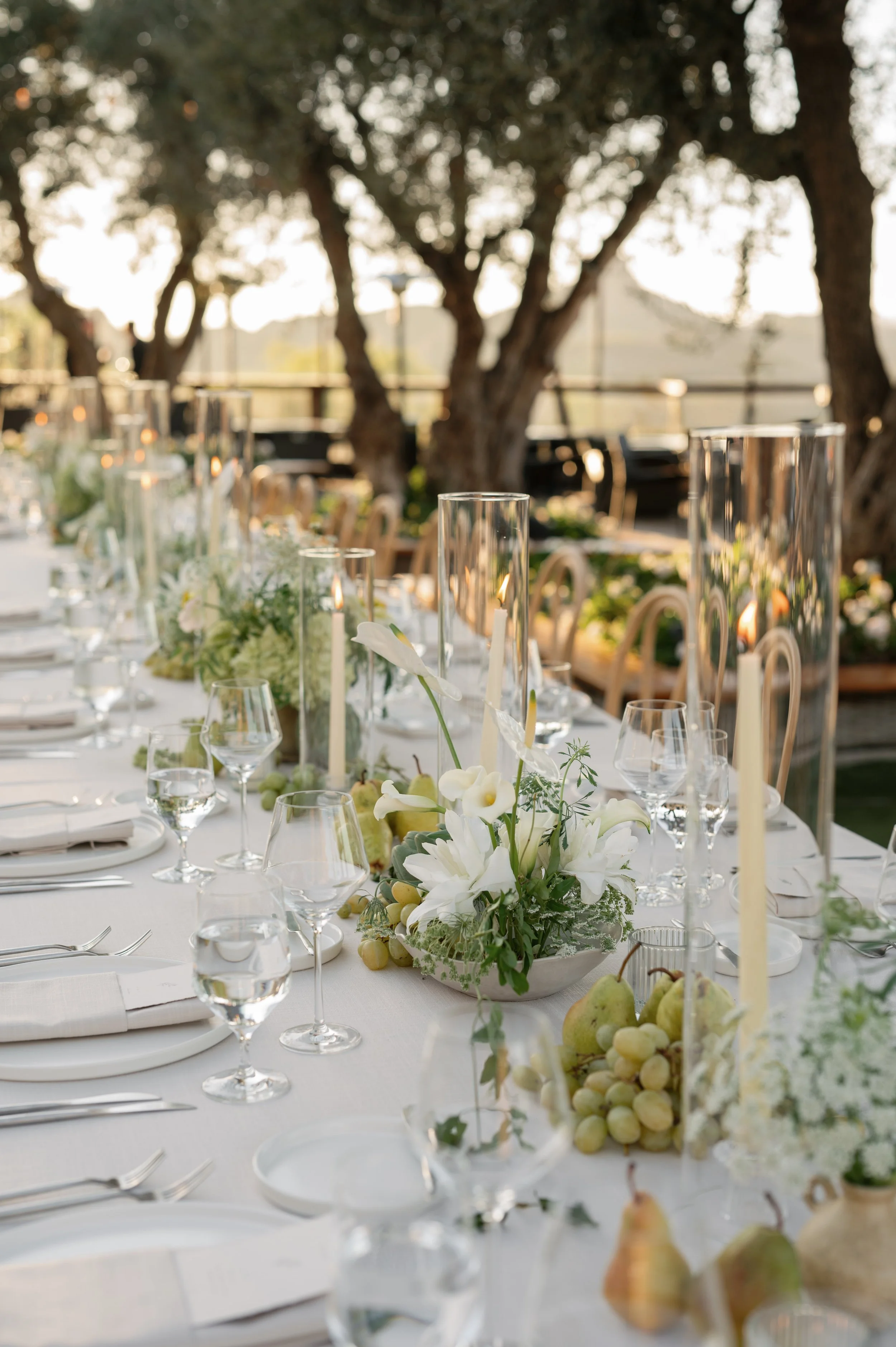 erica and nick_11082025_erica streelman photo-1312.jpg