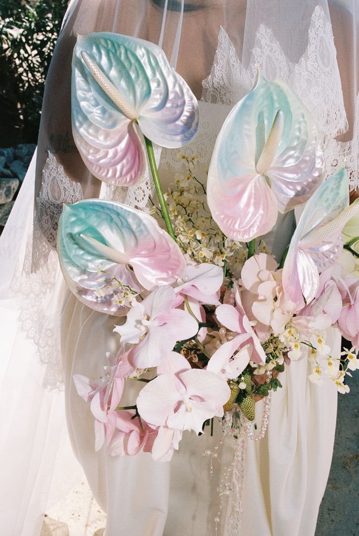 photo: @tessamarieephoto