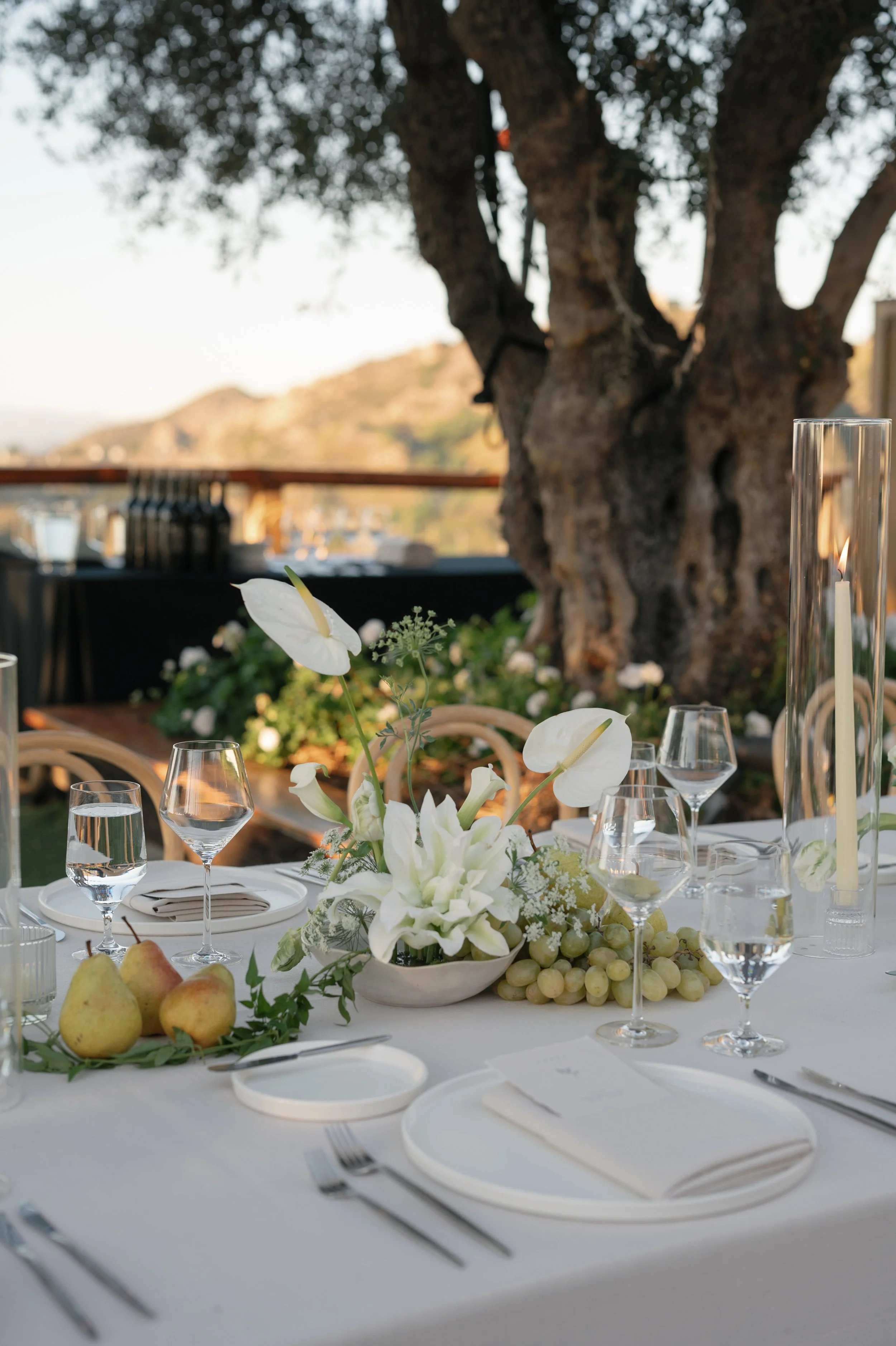 erica and nick_11082025_erica streelman photo-1331.jpg