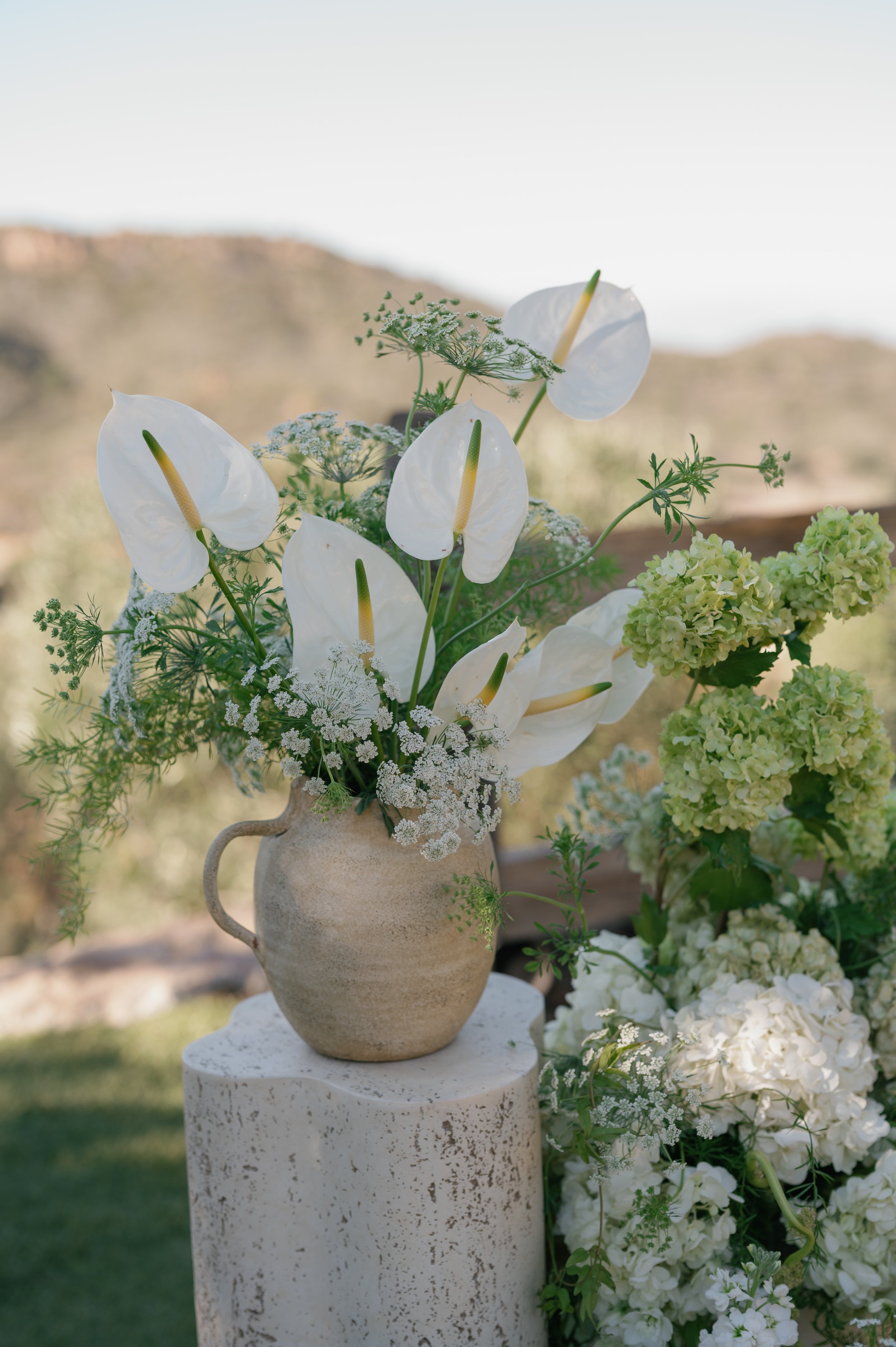 erica and nick_11082025_erica streelman photo-849.jpg