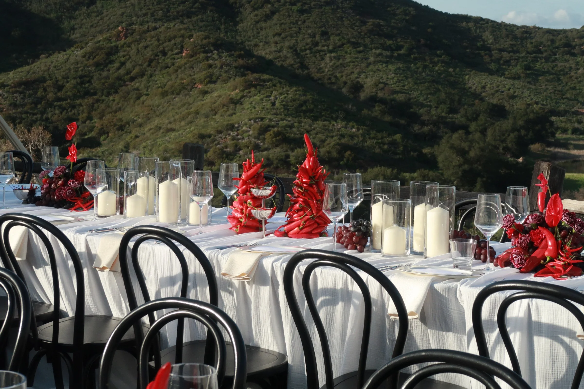 Birthday Dinner for Karol G