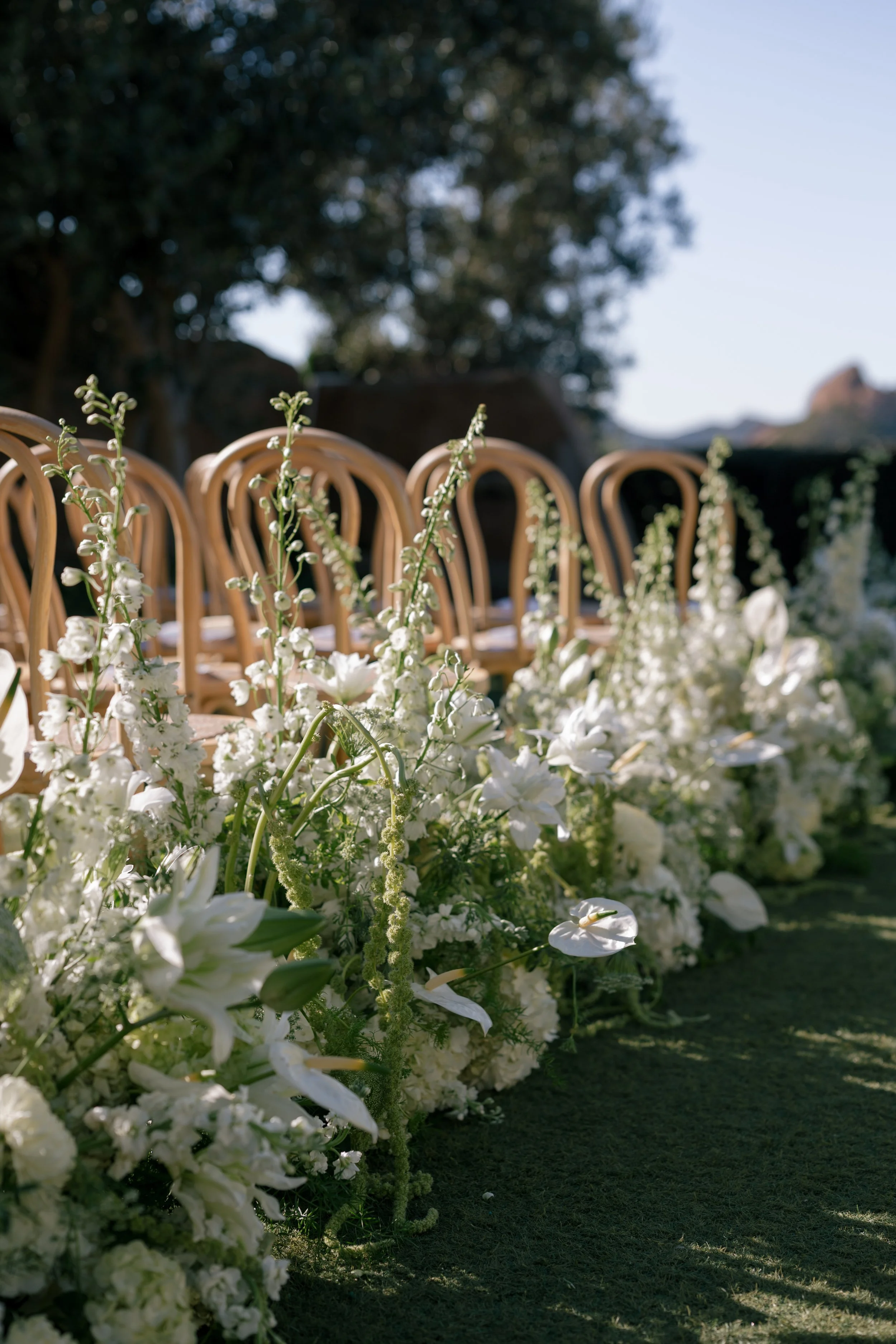 erica and nick_11082025_erica streelman photo-832.jpg