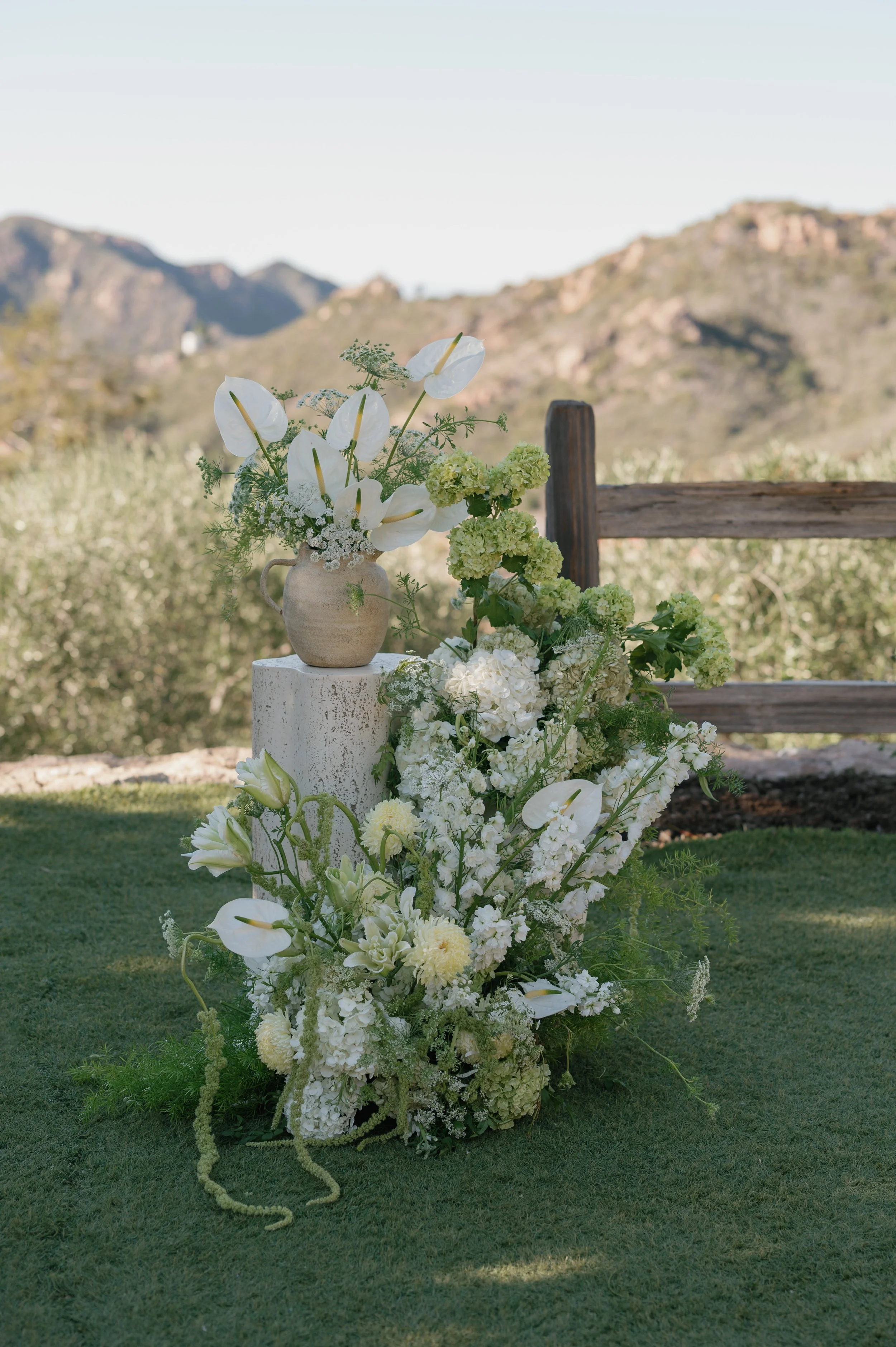 erica and nick_11082025_erica streelman photo-843.jpg