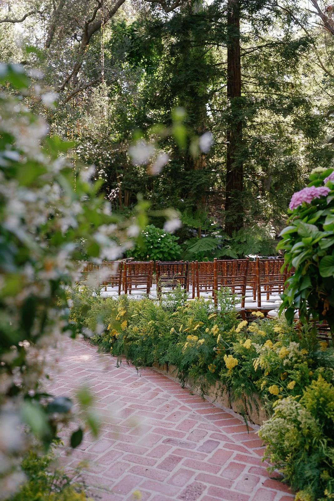 JudyRyan_Wedding_Previews_-53.jpg