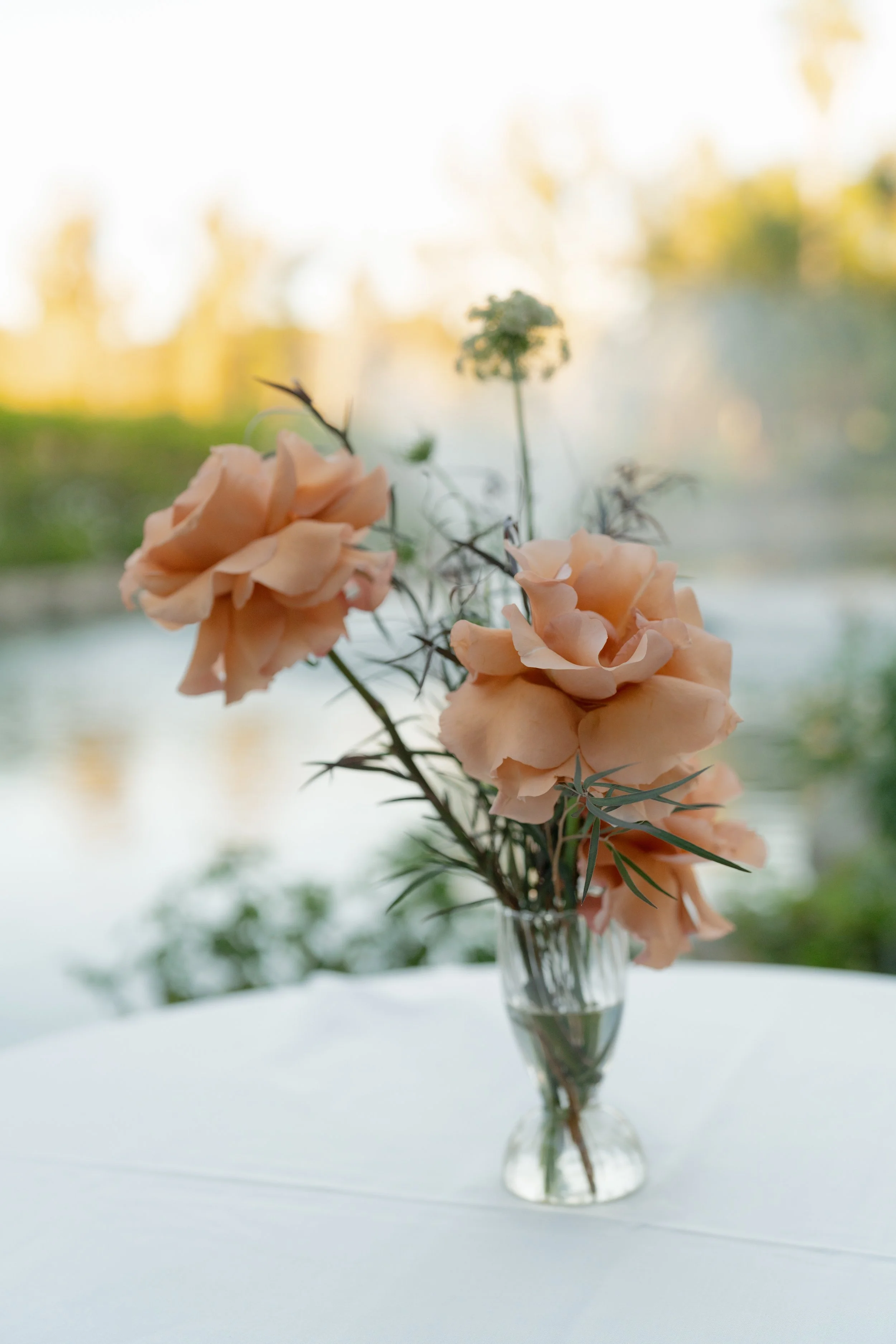 erica and nick_11082025_erica streelman photo-2297.jpg