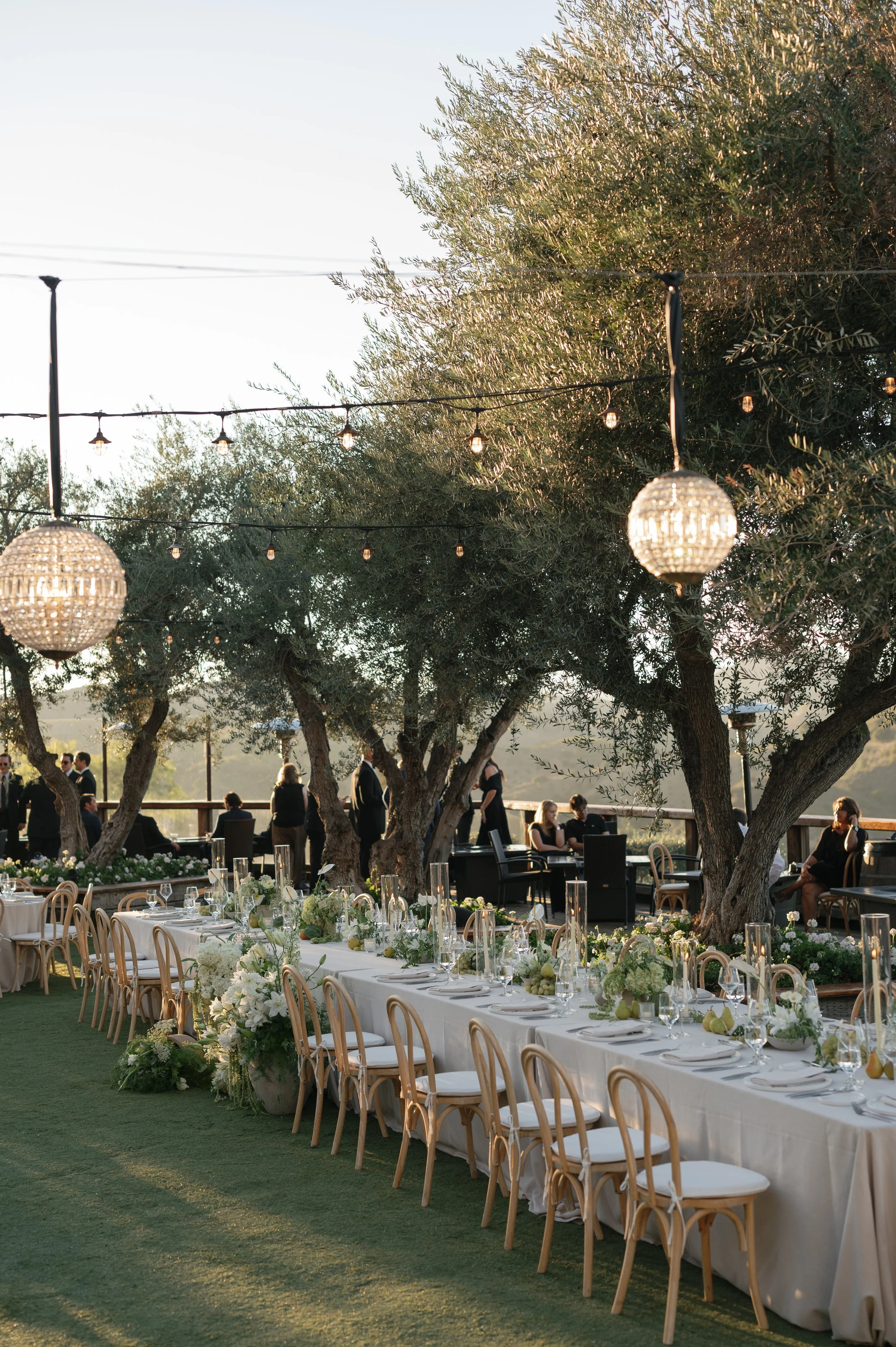 erica and nick_11082025_erica streelman photo-1327.jpg