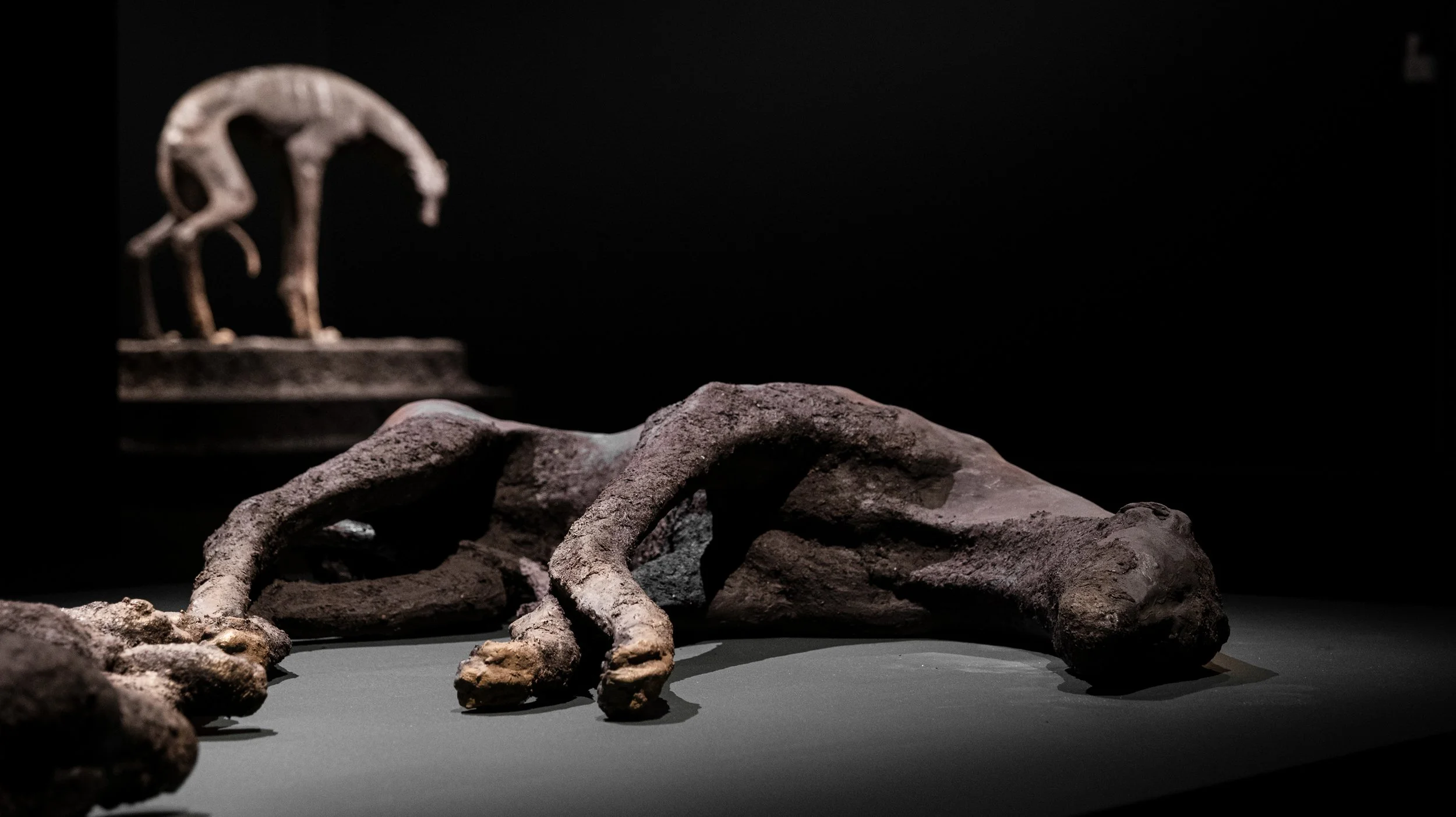 Stray Dogs 7, © Lovisa Ringborg.jpg
