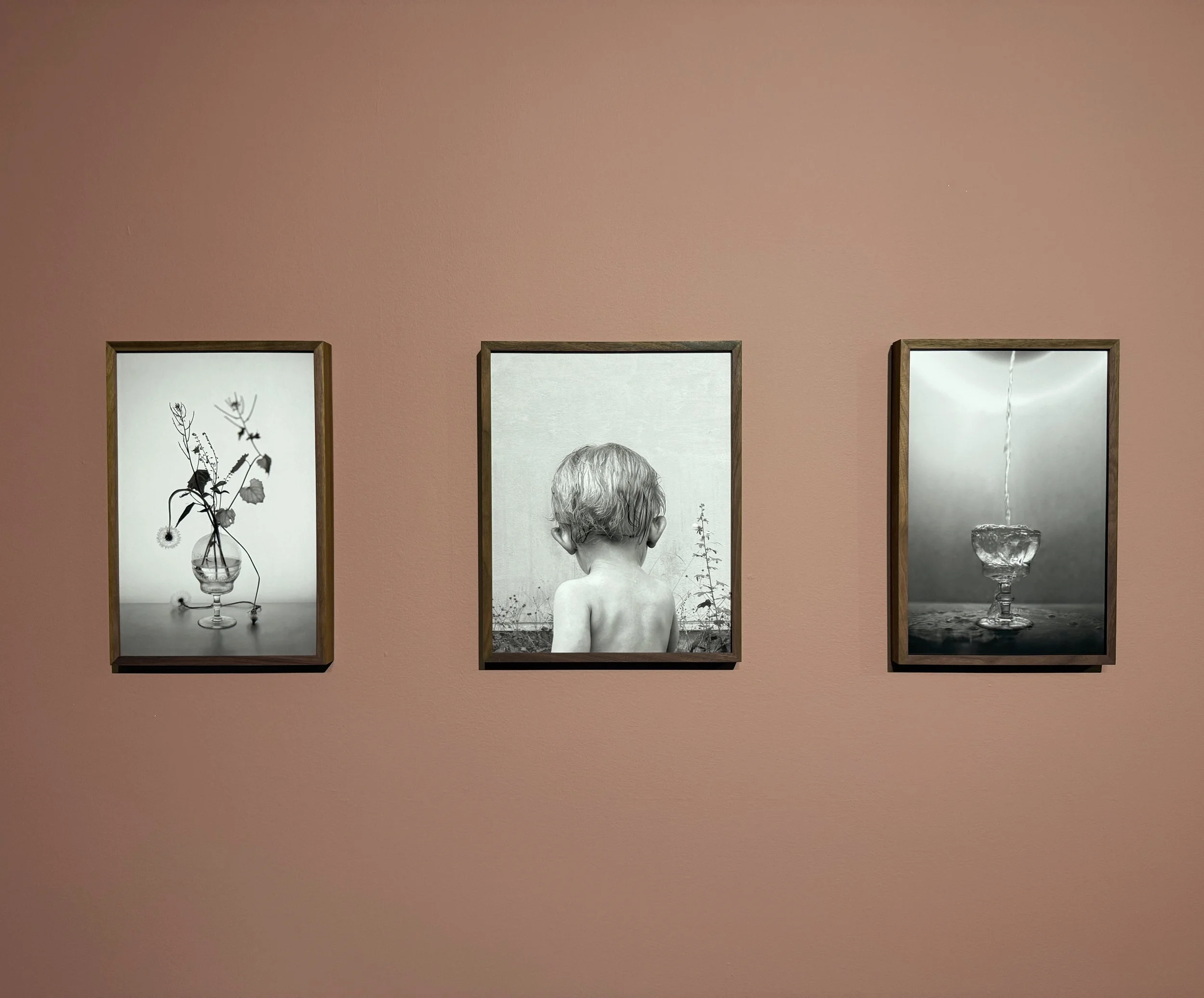 10.triptyk-dandelions-boy-Moonshine.jpg