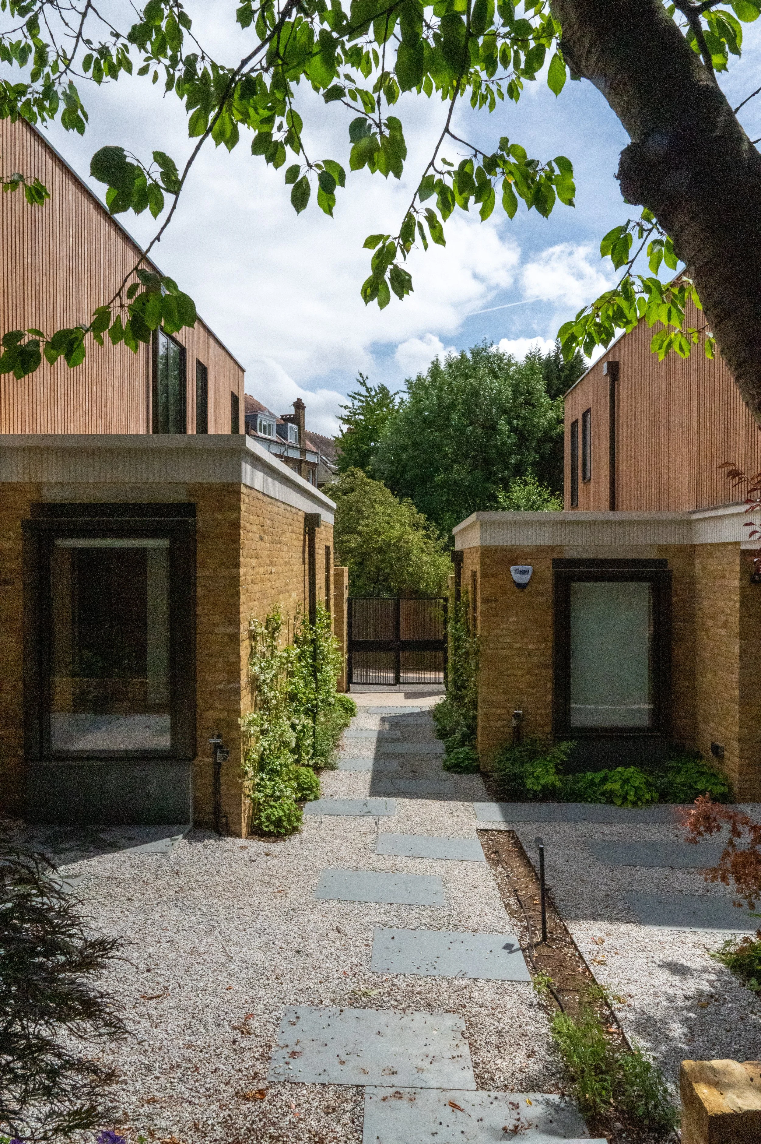 FROGNAL-055.jpg
