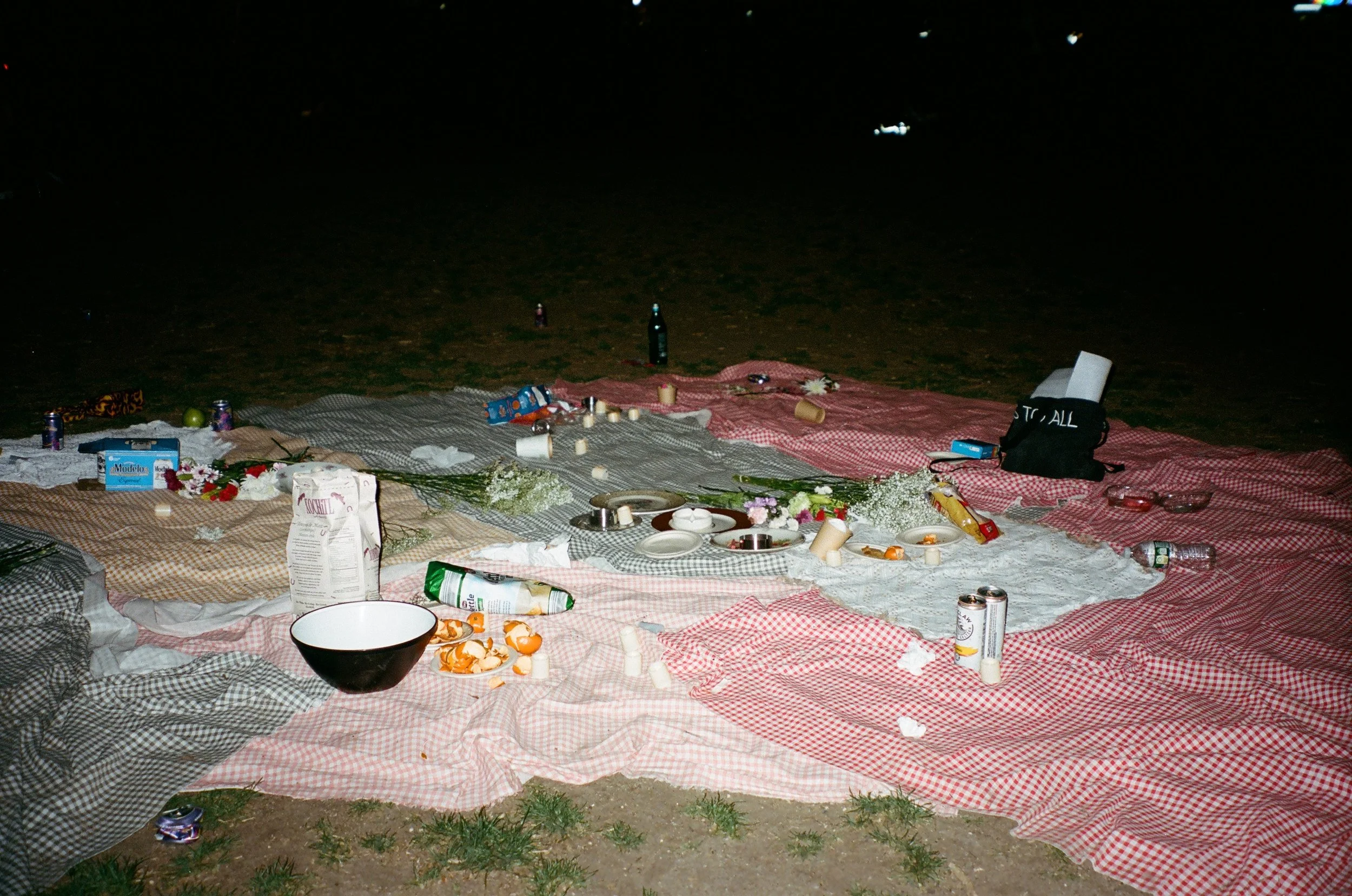 Matias_Alvial_420_2023_29 copy.jpeg