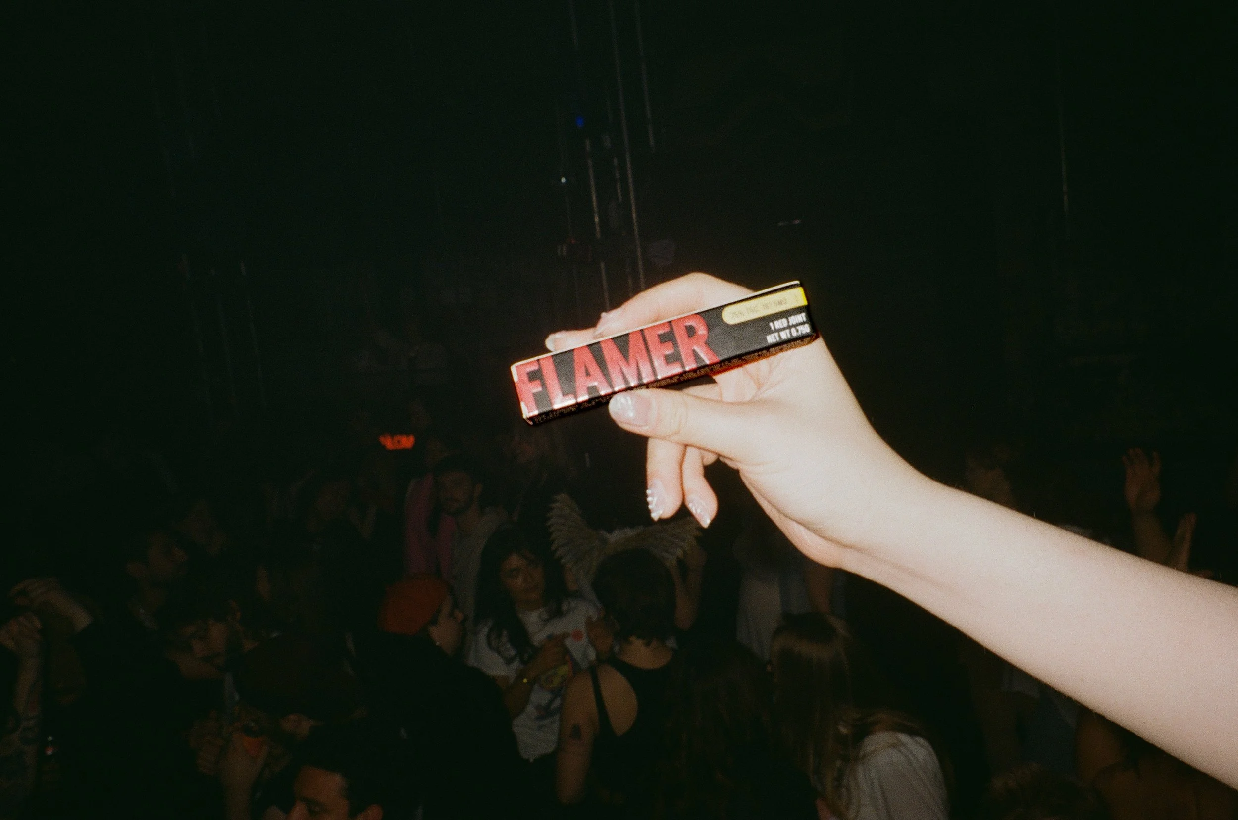 Paloma_FLAMER_SALTBURN Party_17.jpeg