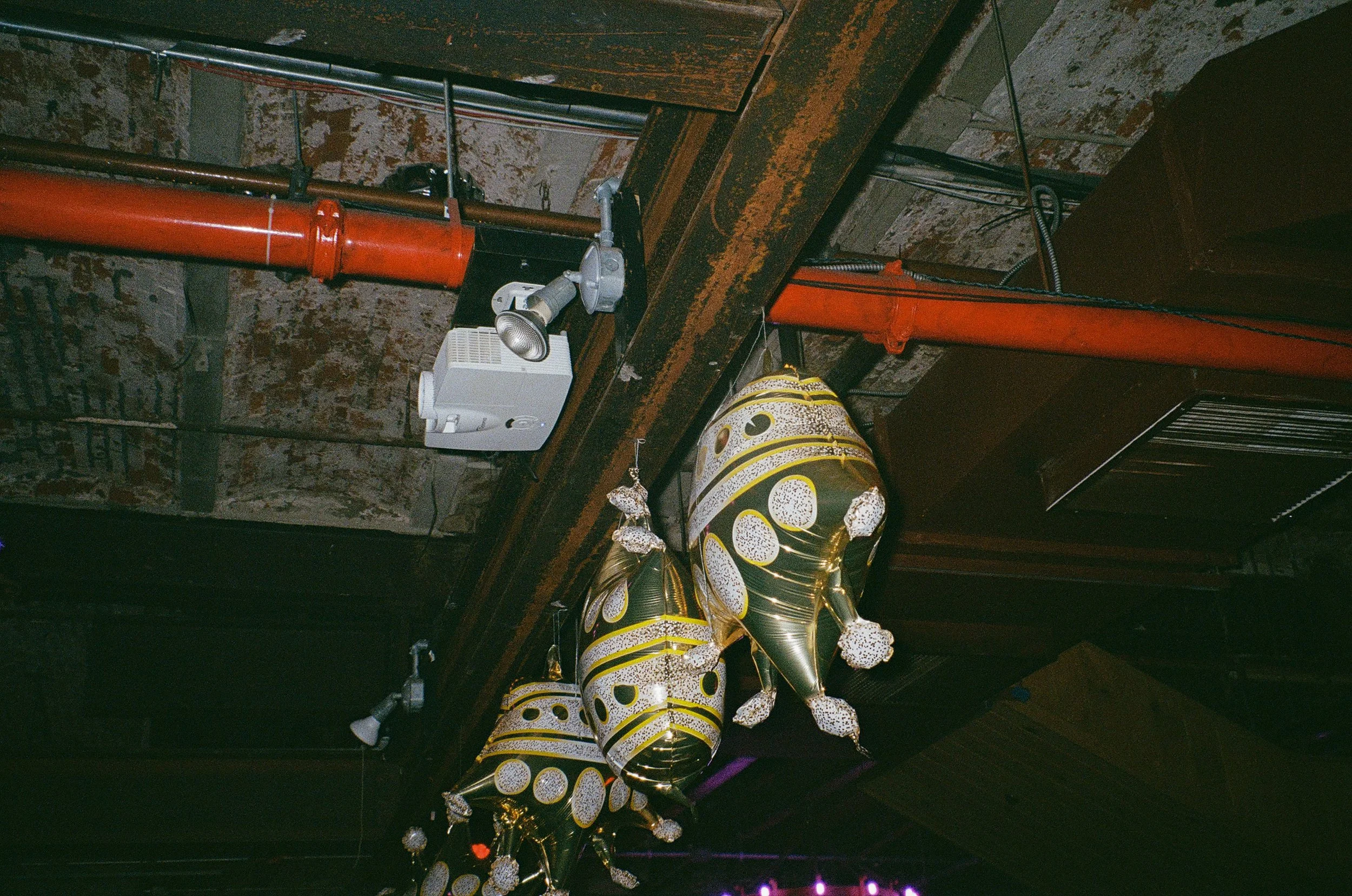 Paloma_FLAMER_SALTBURN Party_6.jpeg