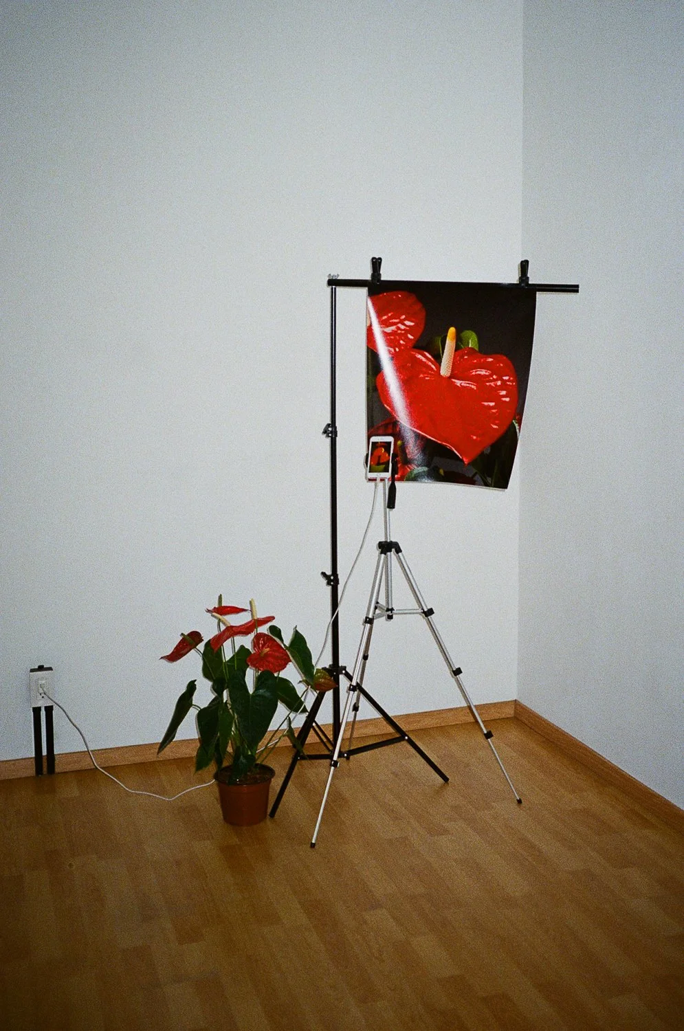 Matias_Alvial_PUNCTA_CDMX_40.jpg