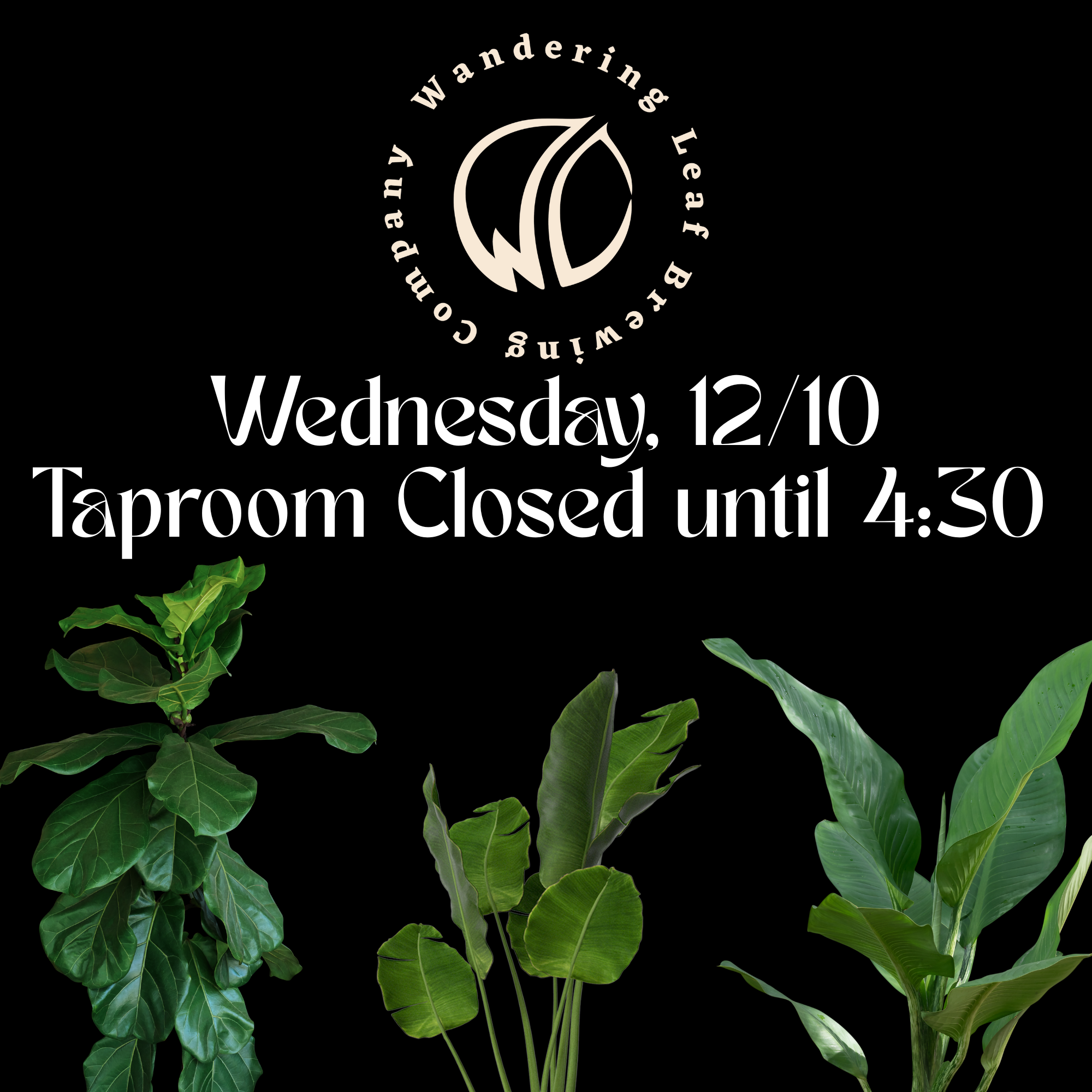 Taproom opens at 4:30