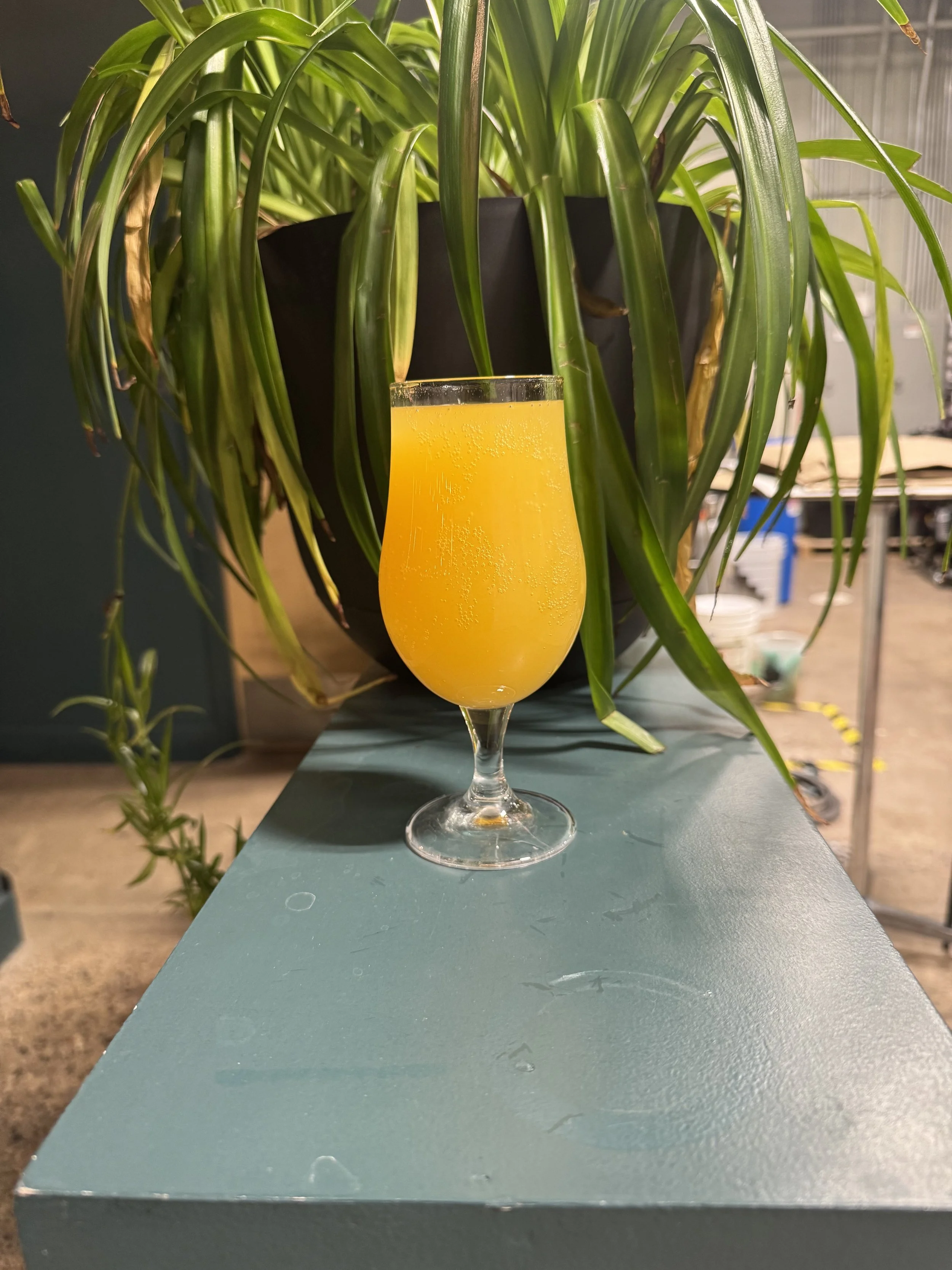 Side Quest: Raspberry Lemon (Copy)