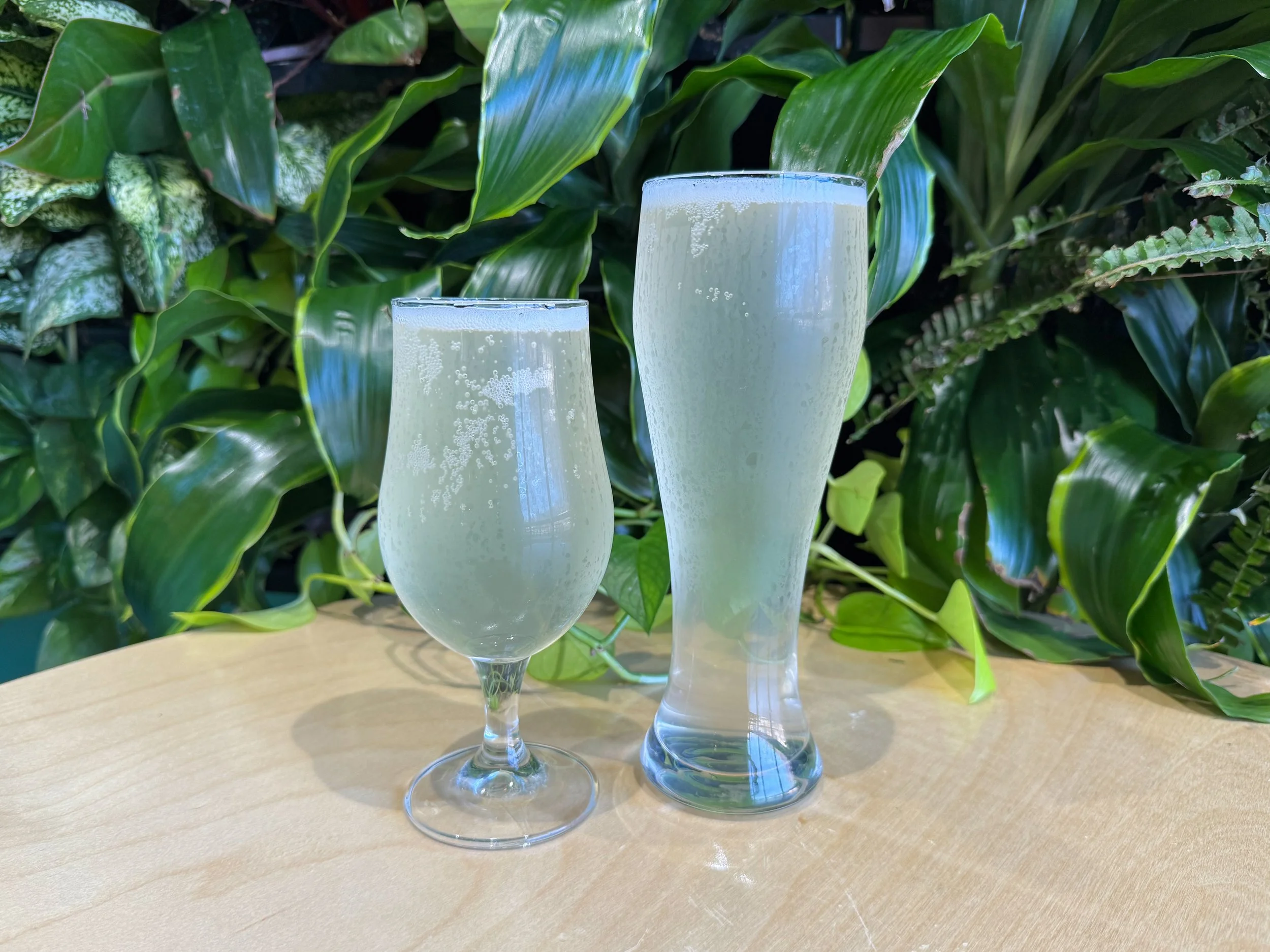 Side Quest: Mango and Guava