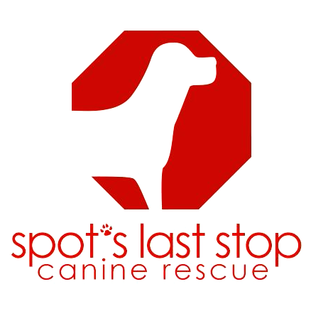 Spot's Last Stop Canine Rescue Adoption