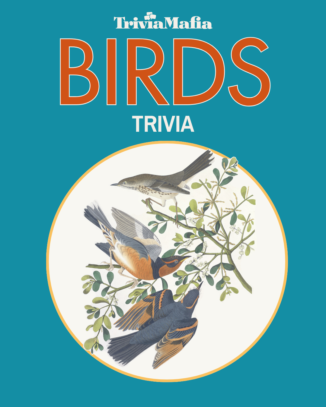 Bird Trivia with Trivia Mafia