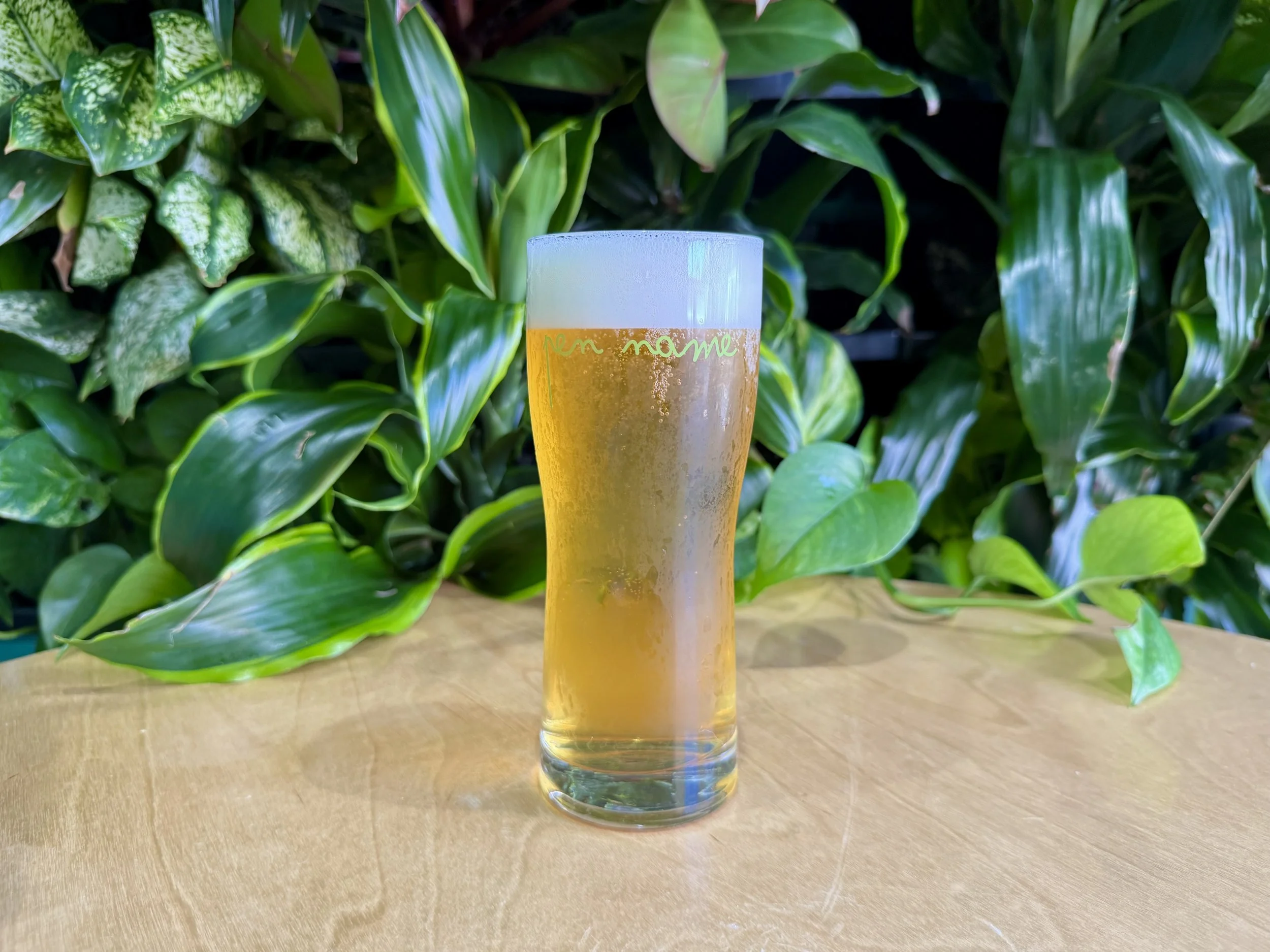 Pen Name Fermentation Project: Hana Bier