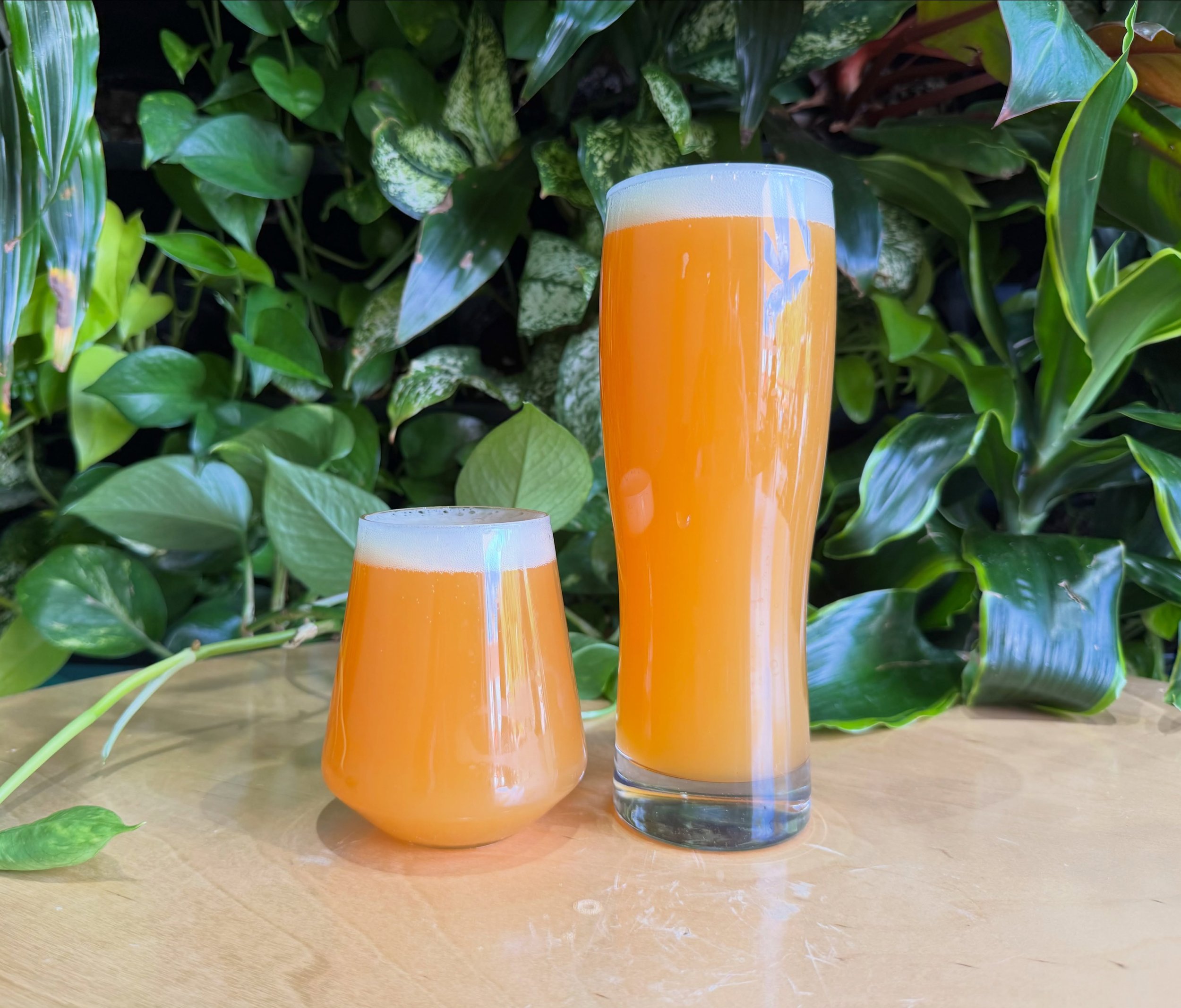 This beer tastes like summer... 😎 Give Bloom a try! 🌸 This juicy but refreshing Fruited Blonde is filled with Passionfruit, Cara Cara Orange &amp; Guava flavor, not too sweet and crushable at 5.3%.🍊Come give Bloom a taste in the taproom! Cheers! ?