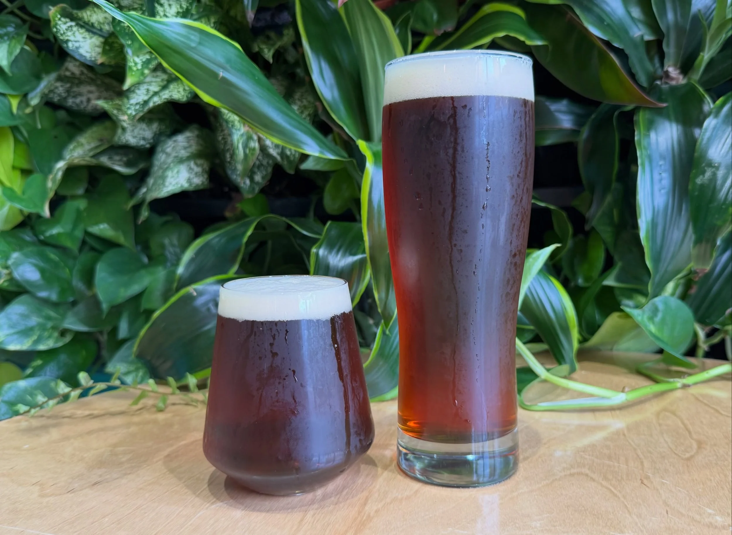 NEW BEERS! 
Stump Thumping 🪾This is an approachable and very sippable Amber Ale, coming in at 5.1%.

Citrine 🍊 Hop lovers, this one&rsquo;s for you! This 7.7% all-Citra Hop Hazy IPA is very citrus-forward. Bright, delicious and a beautiful color. 
