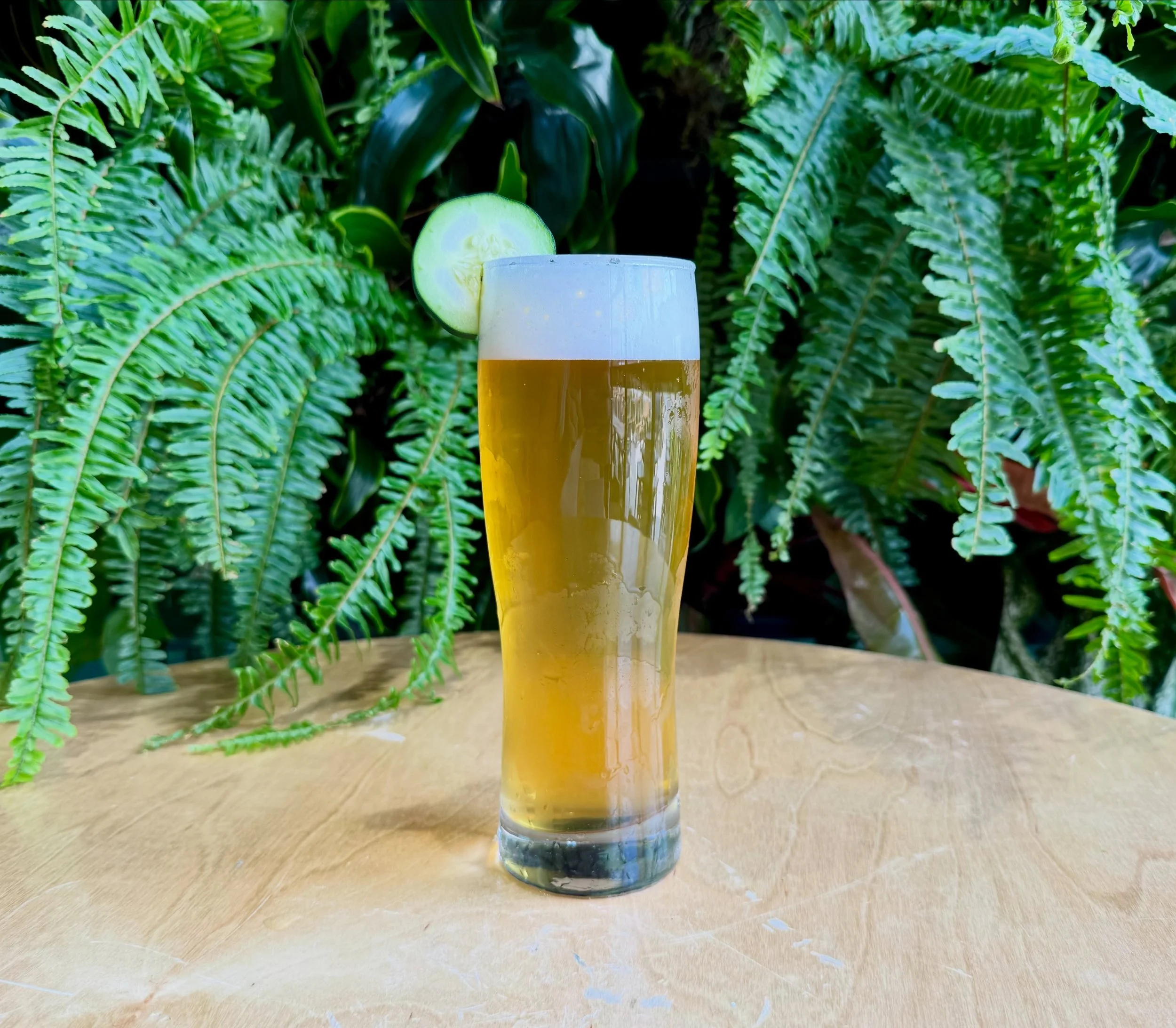 Introducing&hellip; PICKLE THEORY! This one&rsquo;s for the pickle people. Surprisingly refreshing yet tart, this is a tasty summer treat. Made with 100 pounds of real cucumbers! 🥒  Traditional to the Gose style, it&rsquo;s got a bit of a salty bite