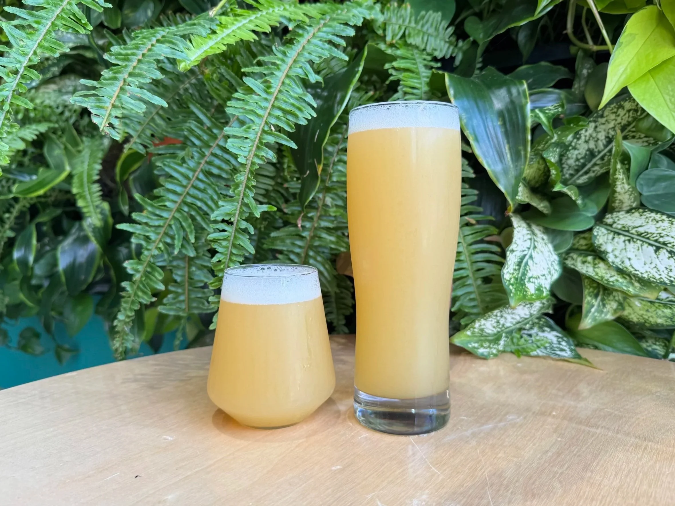Ambrosia
