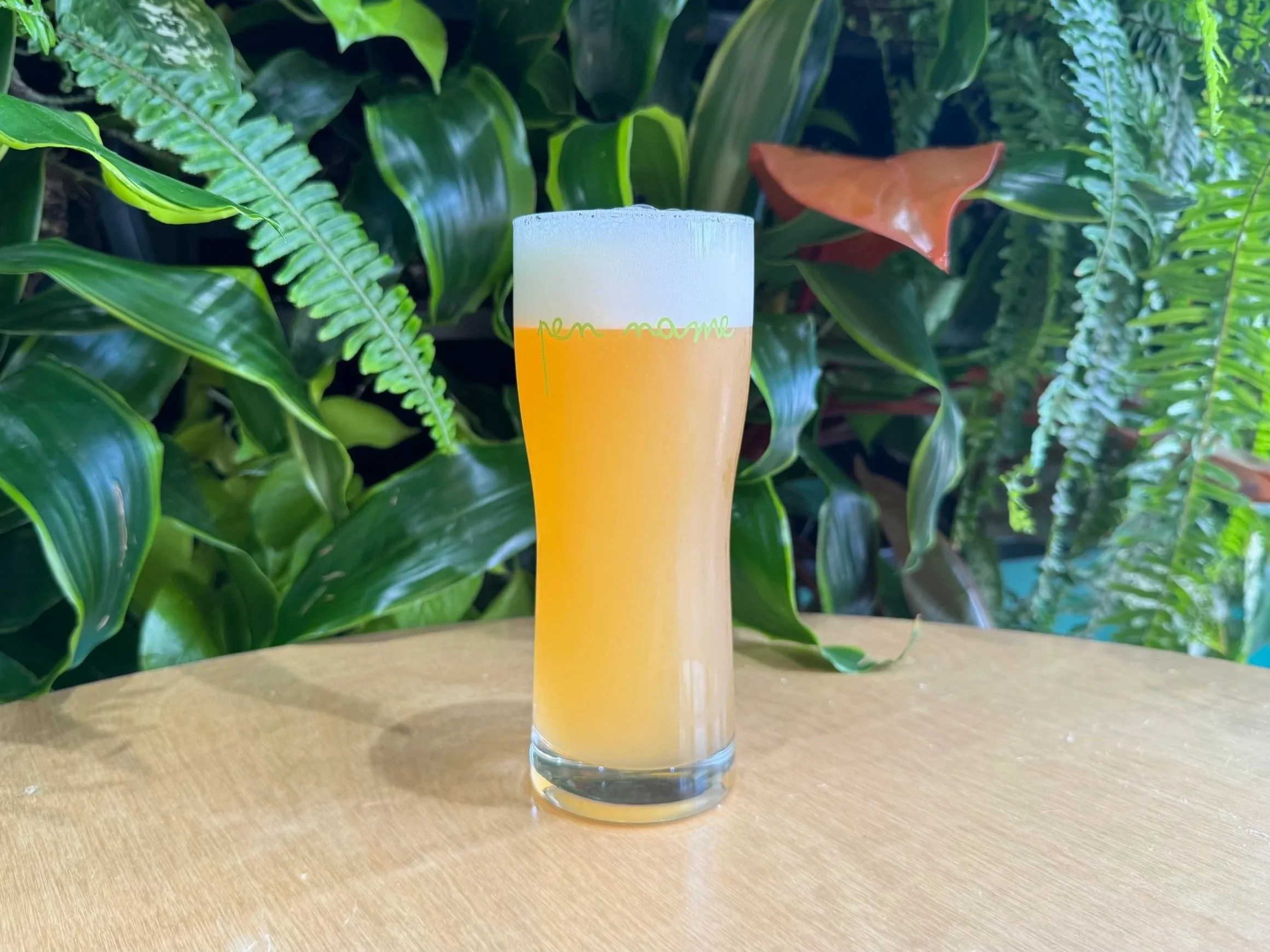 Pen Name Fermentation Project: Hifi Wifi