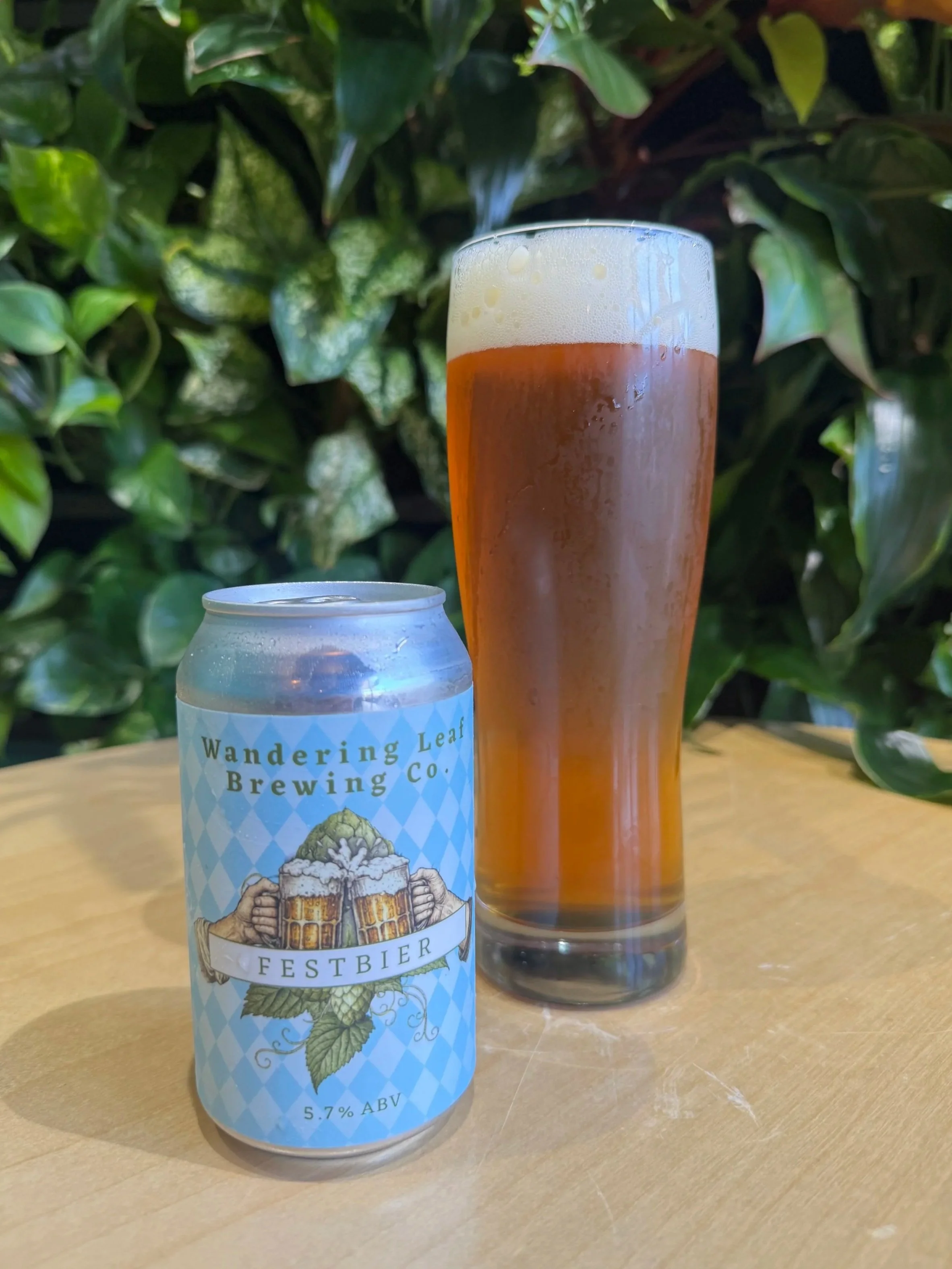 Festbier