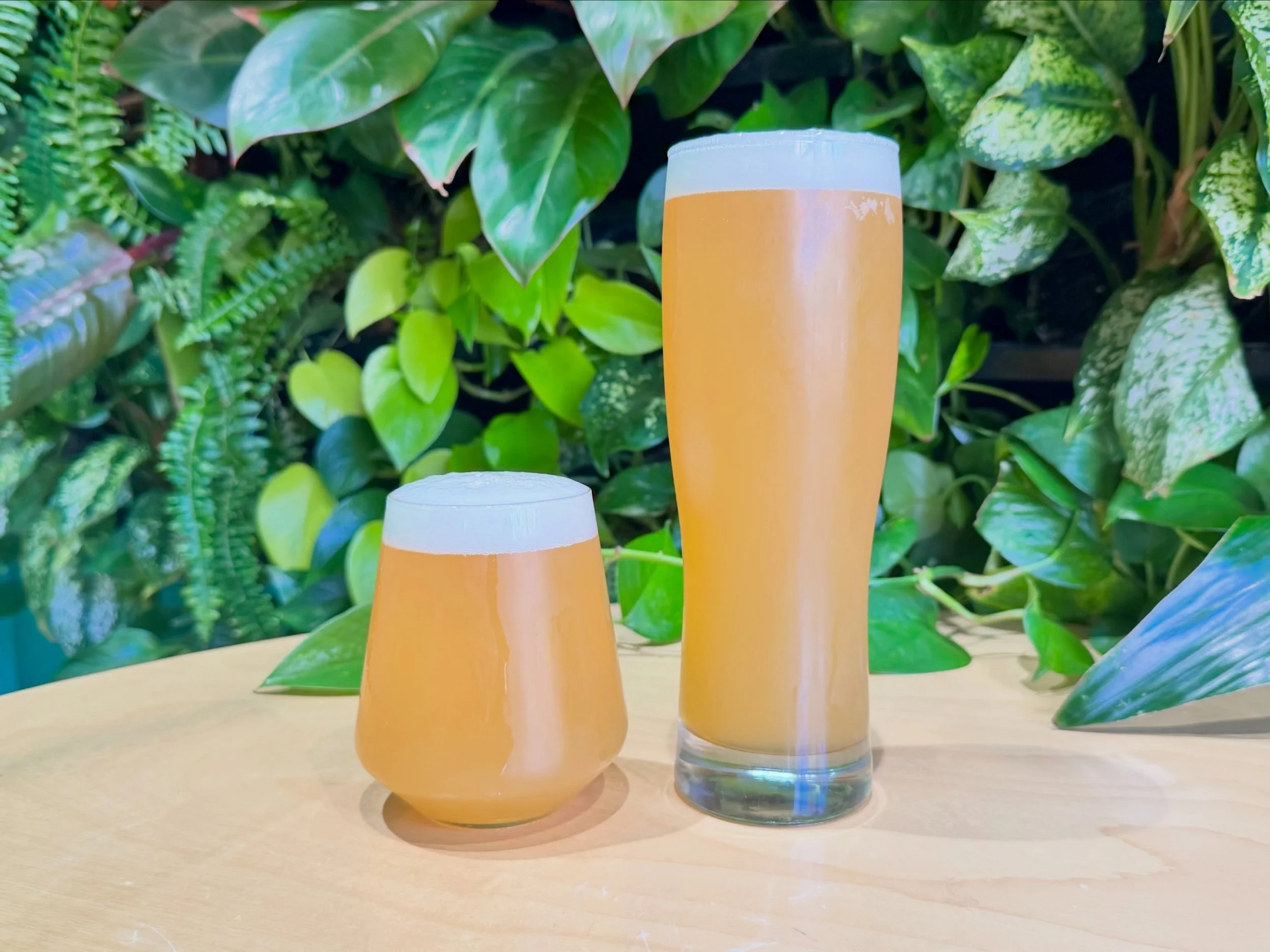 New releases! 
⚙️ Inner Machinations: Hazy IPA | Enigma + Galaxy Hops | 7.4%
🪨 Cobbled Stones: English Porter | 6.9% 
Both will be pouring at Fall Fest on Saturday! 🍻