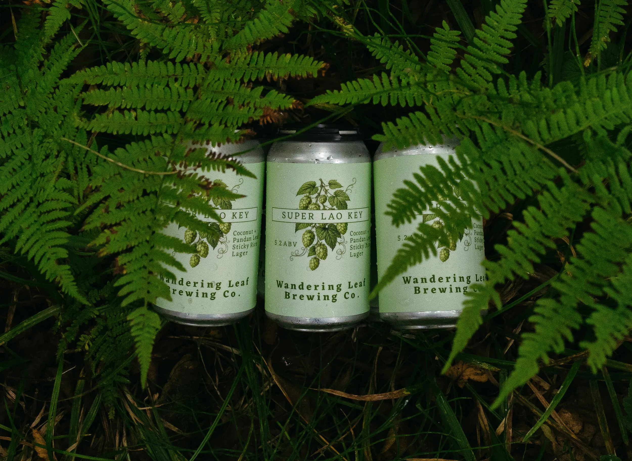ICMYI: The Minnesota Star Tribune highlighted Super Lao Key as one of the best new beers at Autumn Brew Review last weekend! 💫 Our signature Sticky Rice Lager with the flavors of coconut and Pandan leaf is a crowd favorite, and it&rsquo;s back in ca