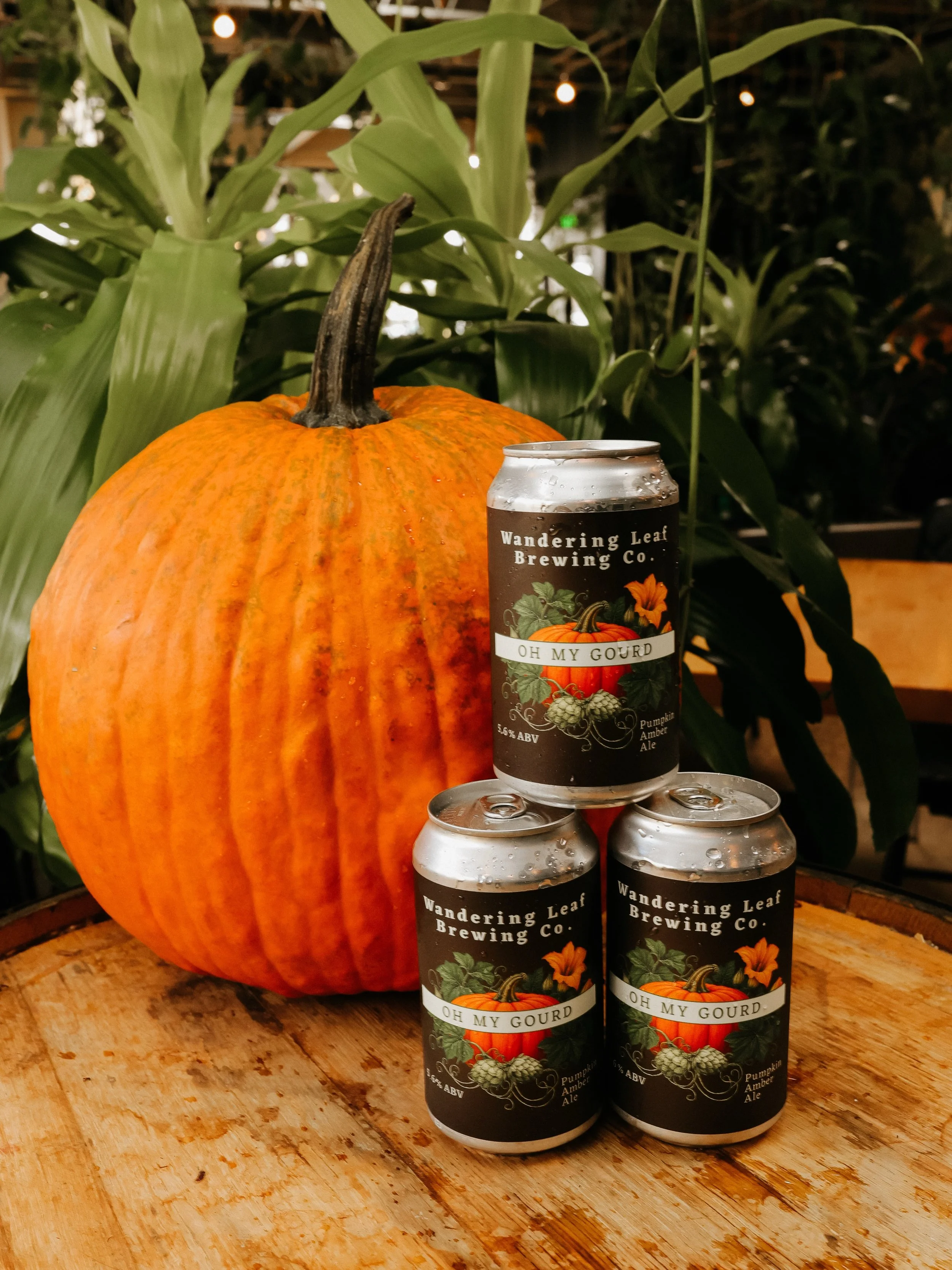 Oh My Gourd! cans are here! 🍁 Enjoy our smoked-pumpkin infused and spicy American Amber Ale at home or anywhere! Cozy chai vibes? Yes. Pumpkiny goodness? Also yes. It&rsquo;s a great choice to bring to a Halloween party! Cheers! 🎃

📸: @wildlyconne