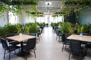 Wandering Leaf Brewing Company photo