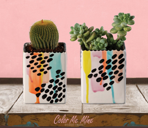 Summer Camp: Planter Painting with Color Me Mine