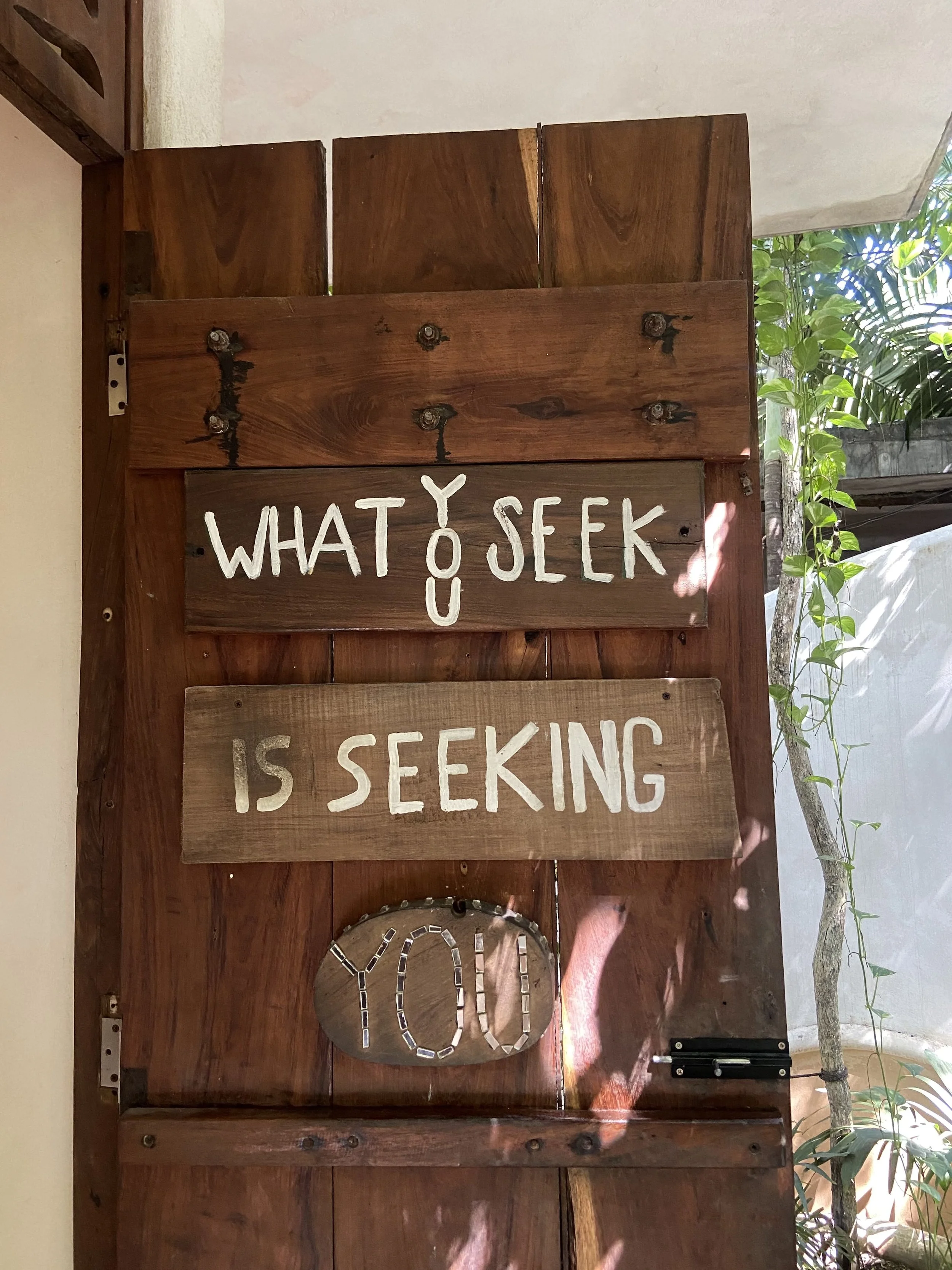 What You Seek Is Seeking You.jpg