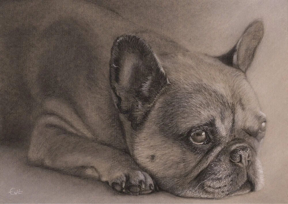 image-asset (4).jpeg